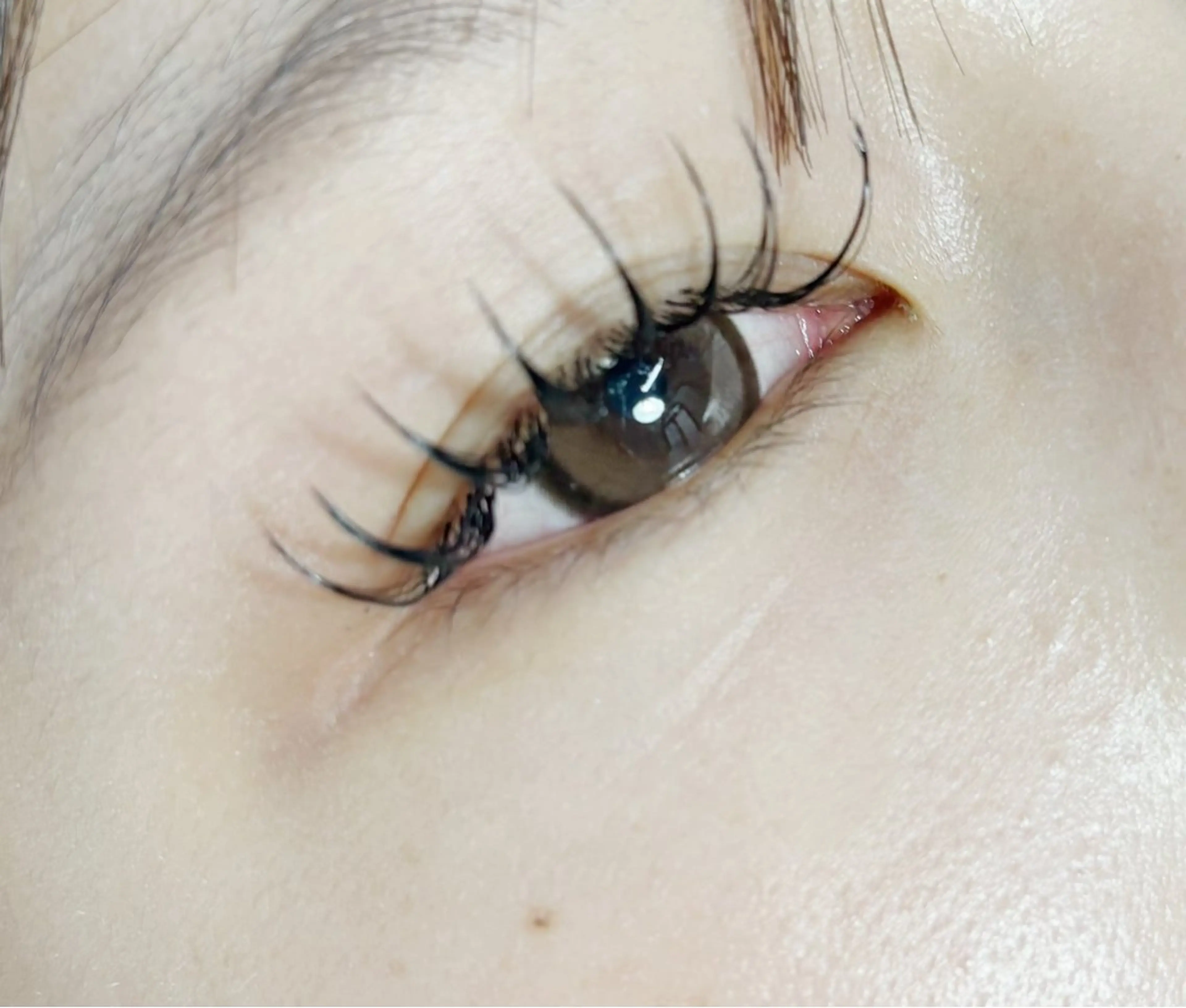 マツエク・マツパ tipsy＋ kanon 🥟🎀のマツエク・マツパデザイン