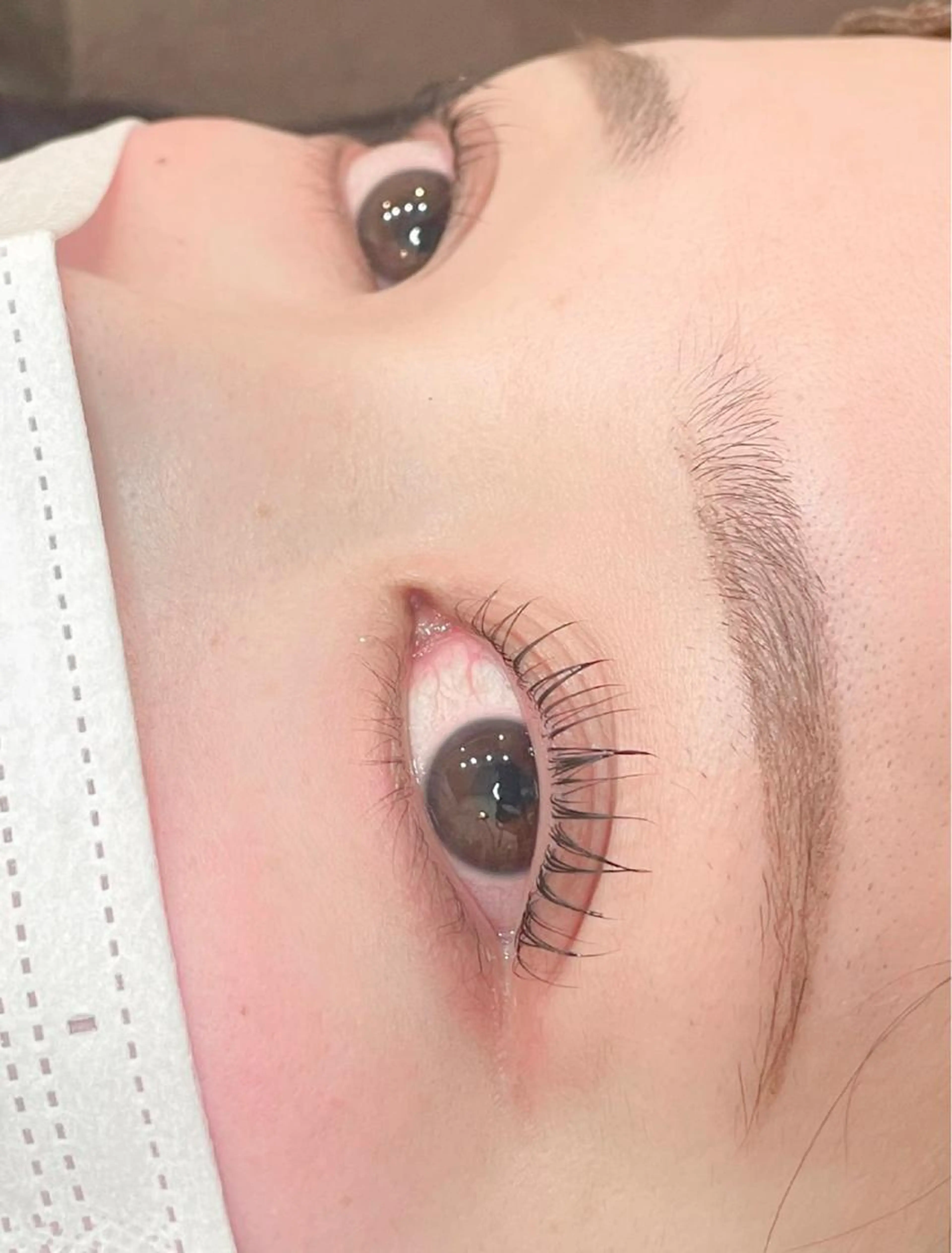 【人気No. 1】ラッシュリフト　美容液配合コーティング仕上げの写真
