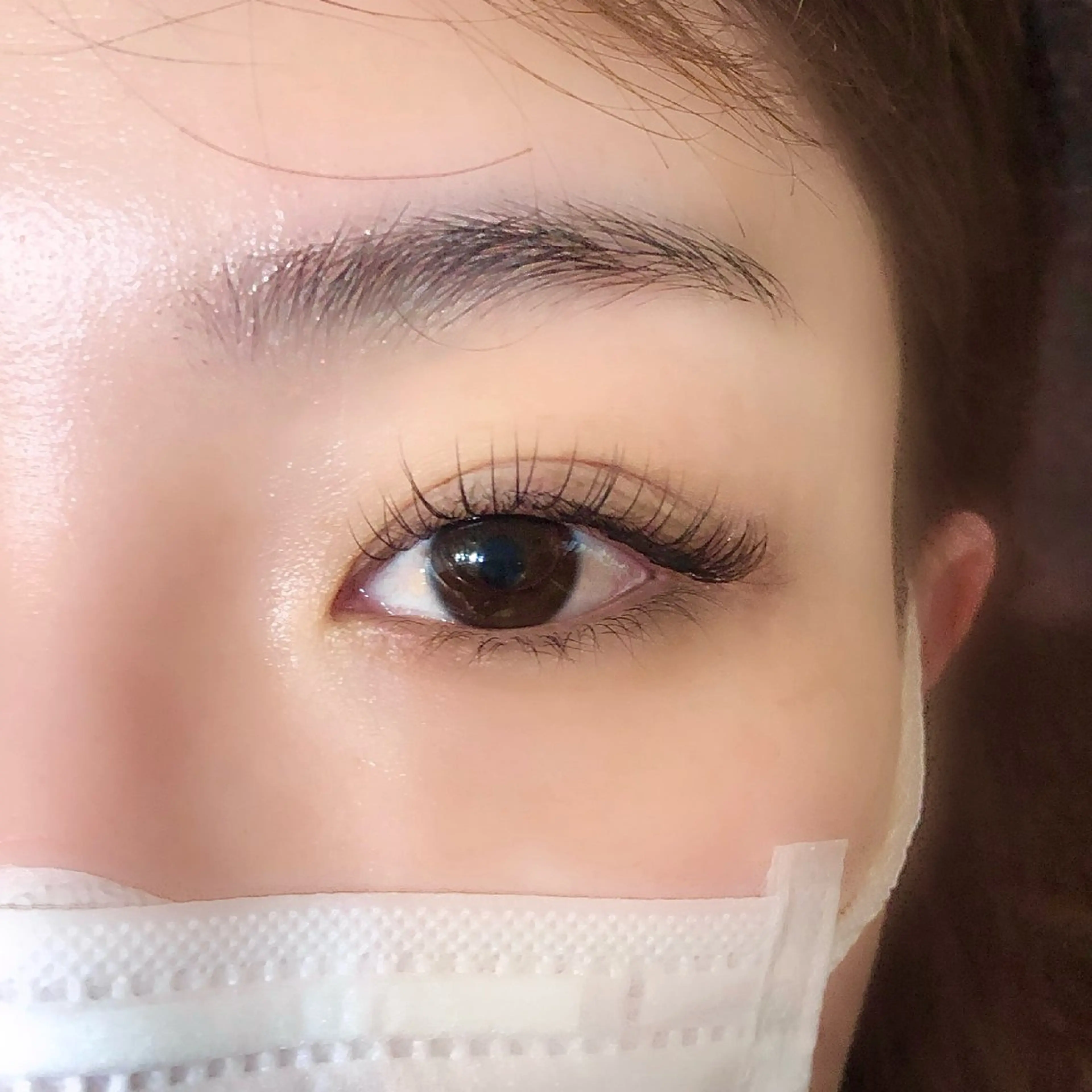 セーブルエクステ 100本(オフなし)の写真