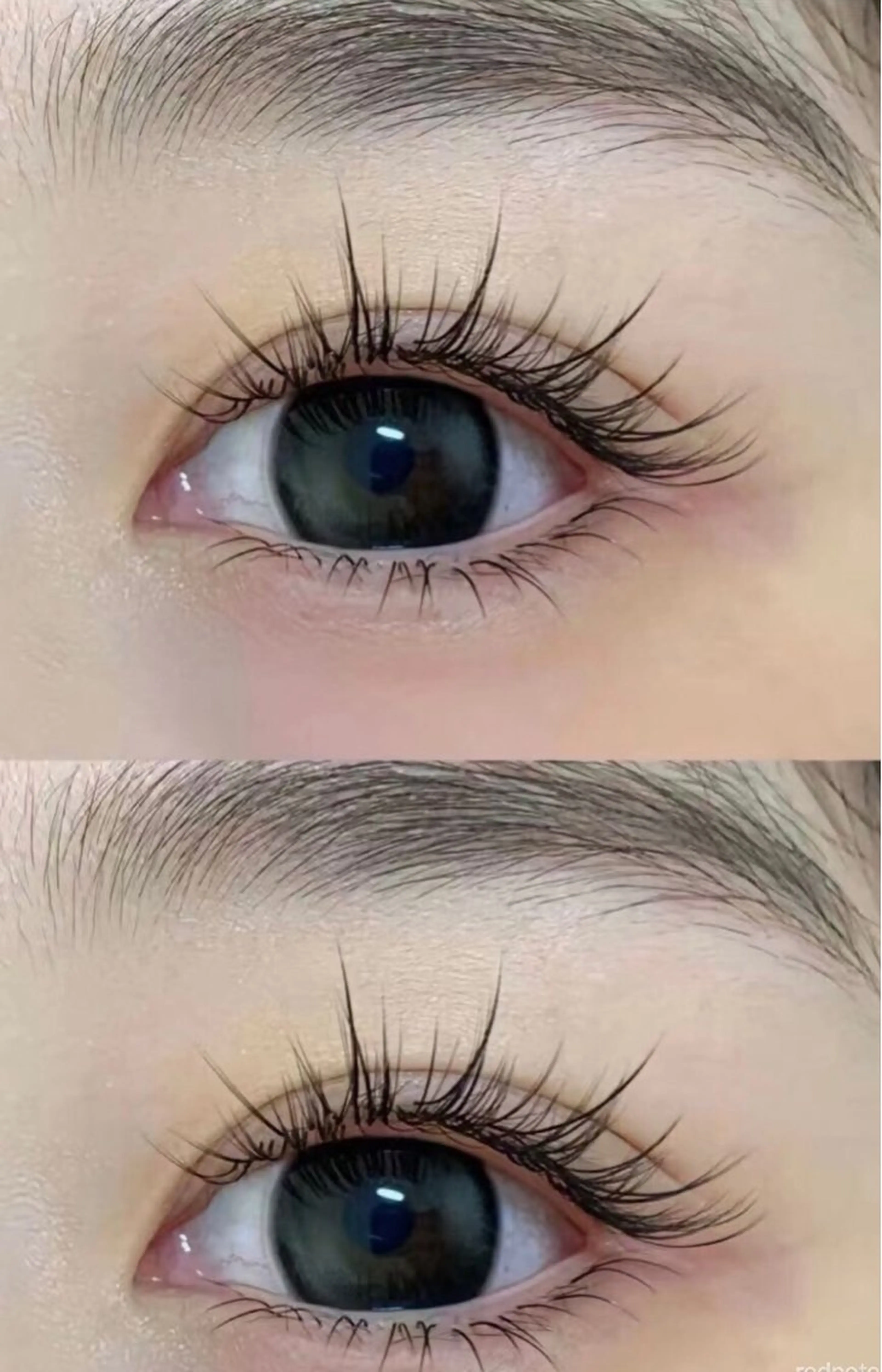 マツエク・マツパ マツエク Melty Eye Lash所属・MeltyEye Lash🌟新宿店のマツエク・マツパデザイン