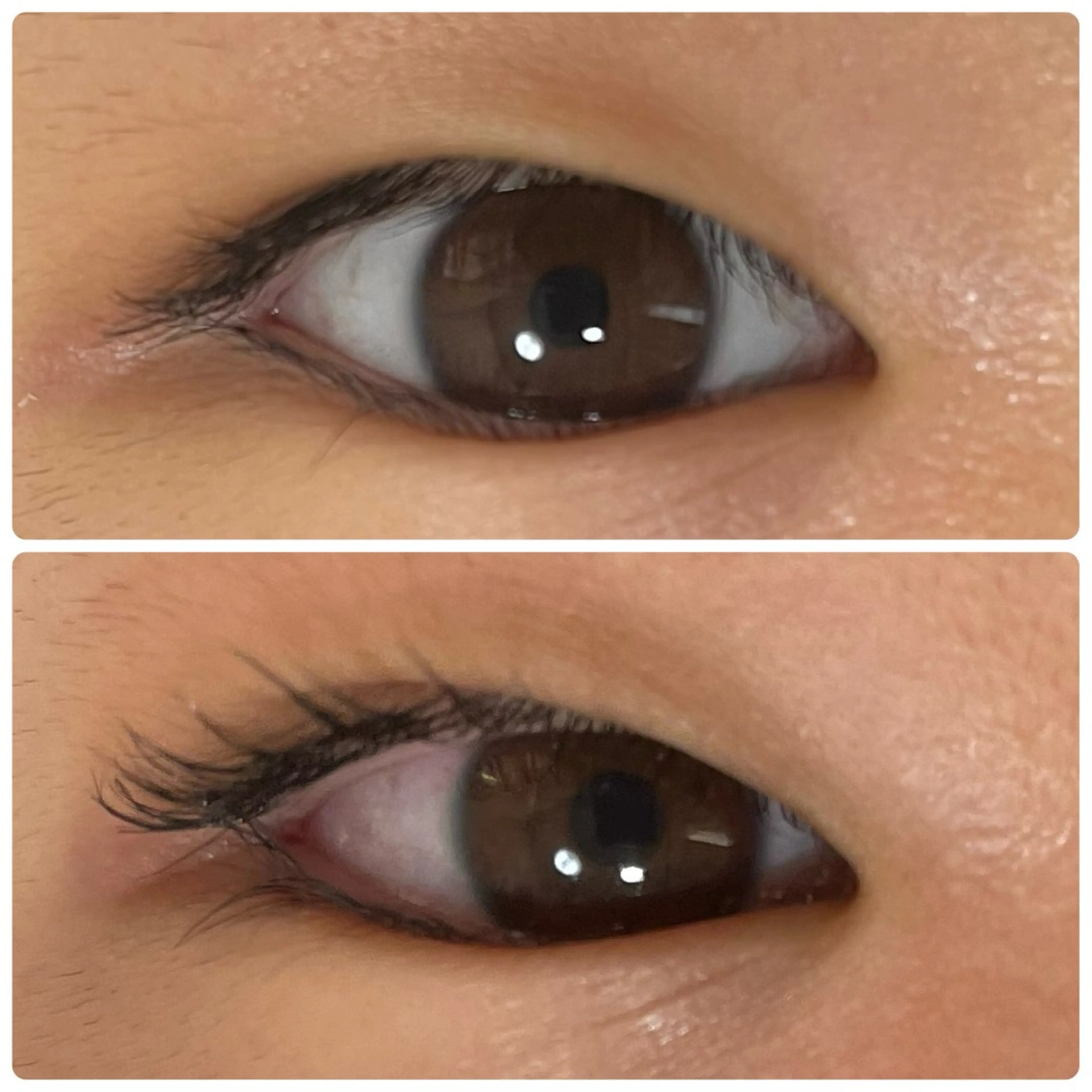 マツエク・マツパ マツパ Serapia 【セラピア】のマツエク・マツパデザイン