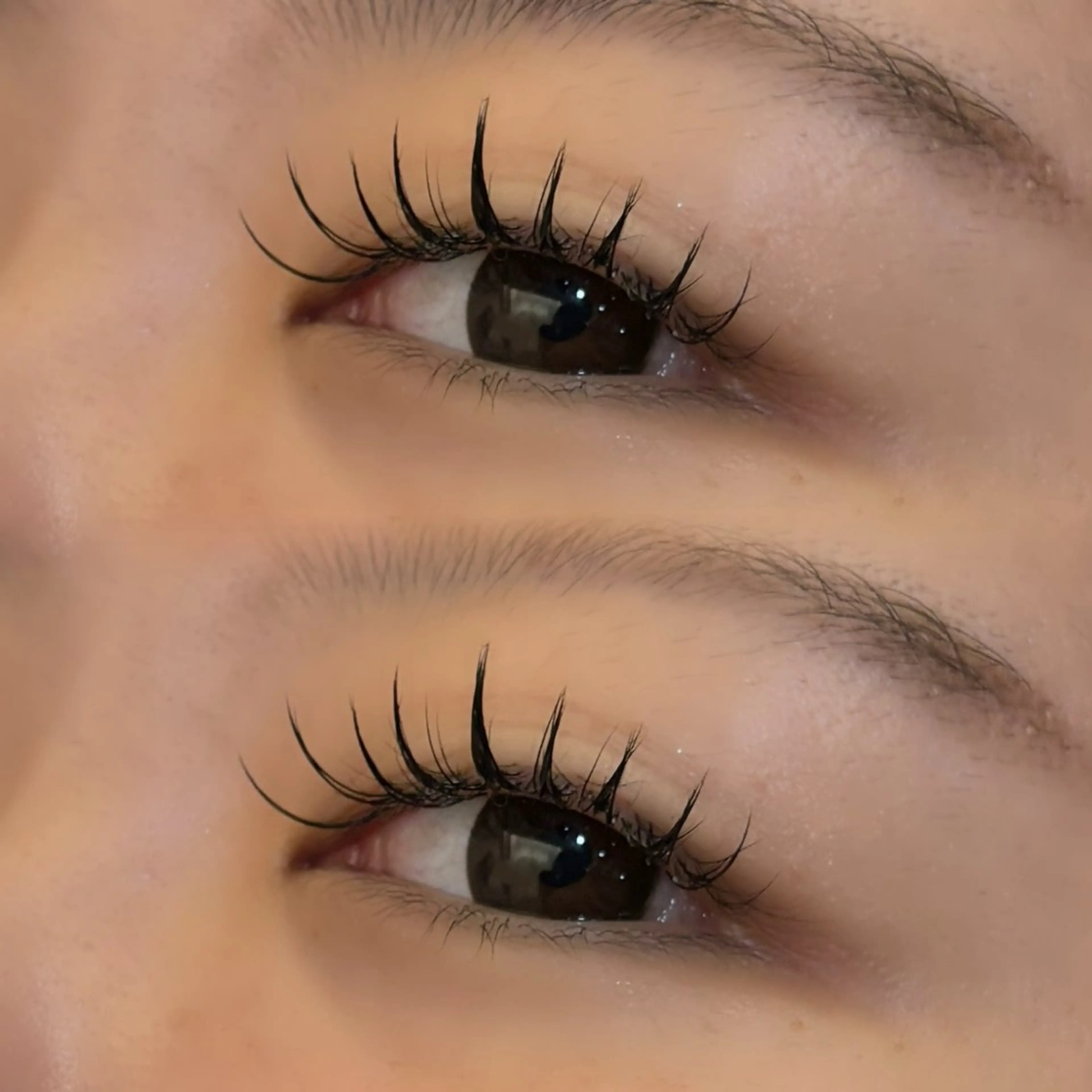 マツエク・マツパ カラーマツエク パリジェンヌラッシュリフト まつげパーマ 艶カラー♡/eye / mai🪐🪄のヘアスタイル