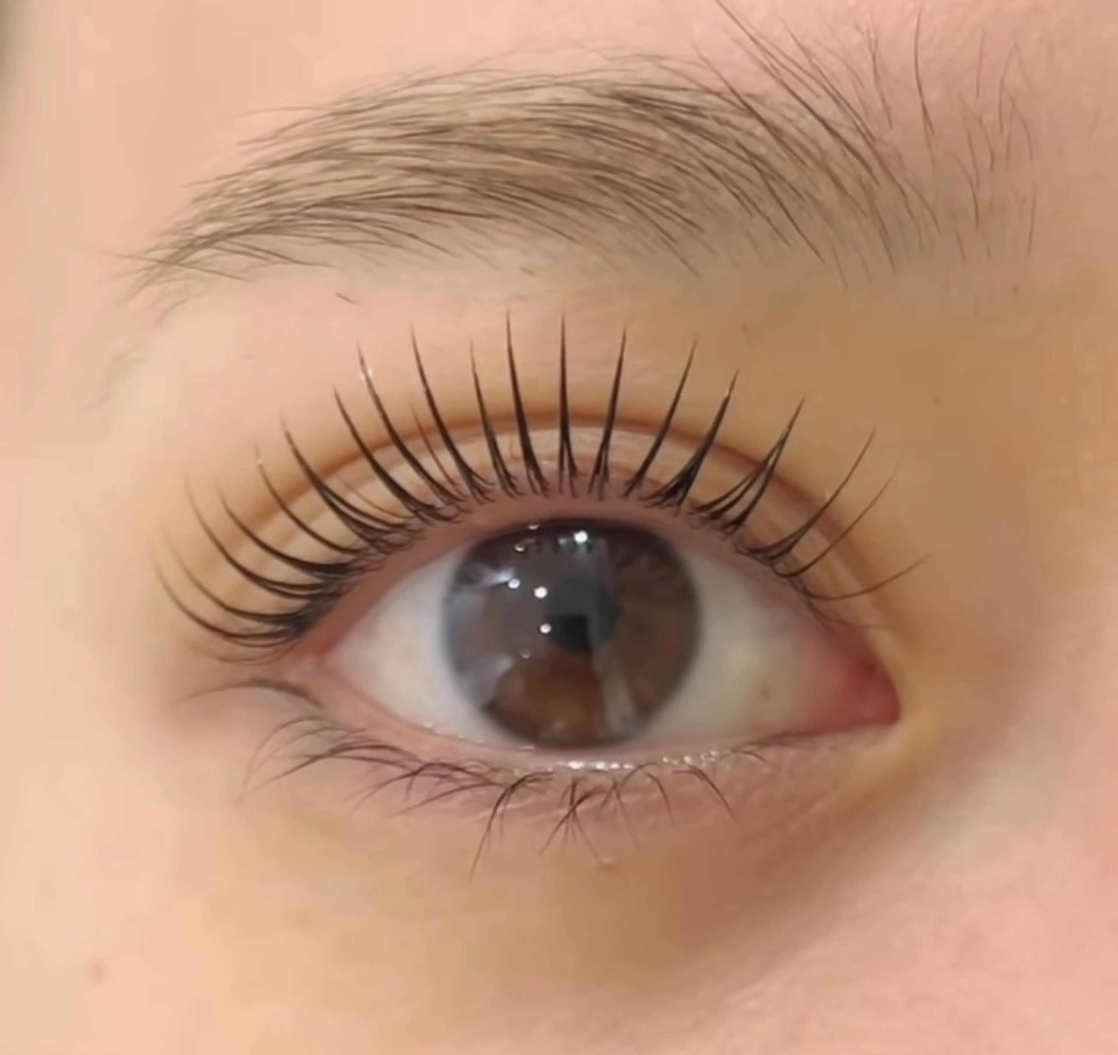 マツエク・マツパ Eyelash Luaのマツエク・マツパデザイン