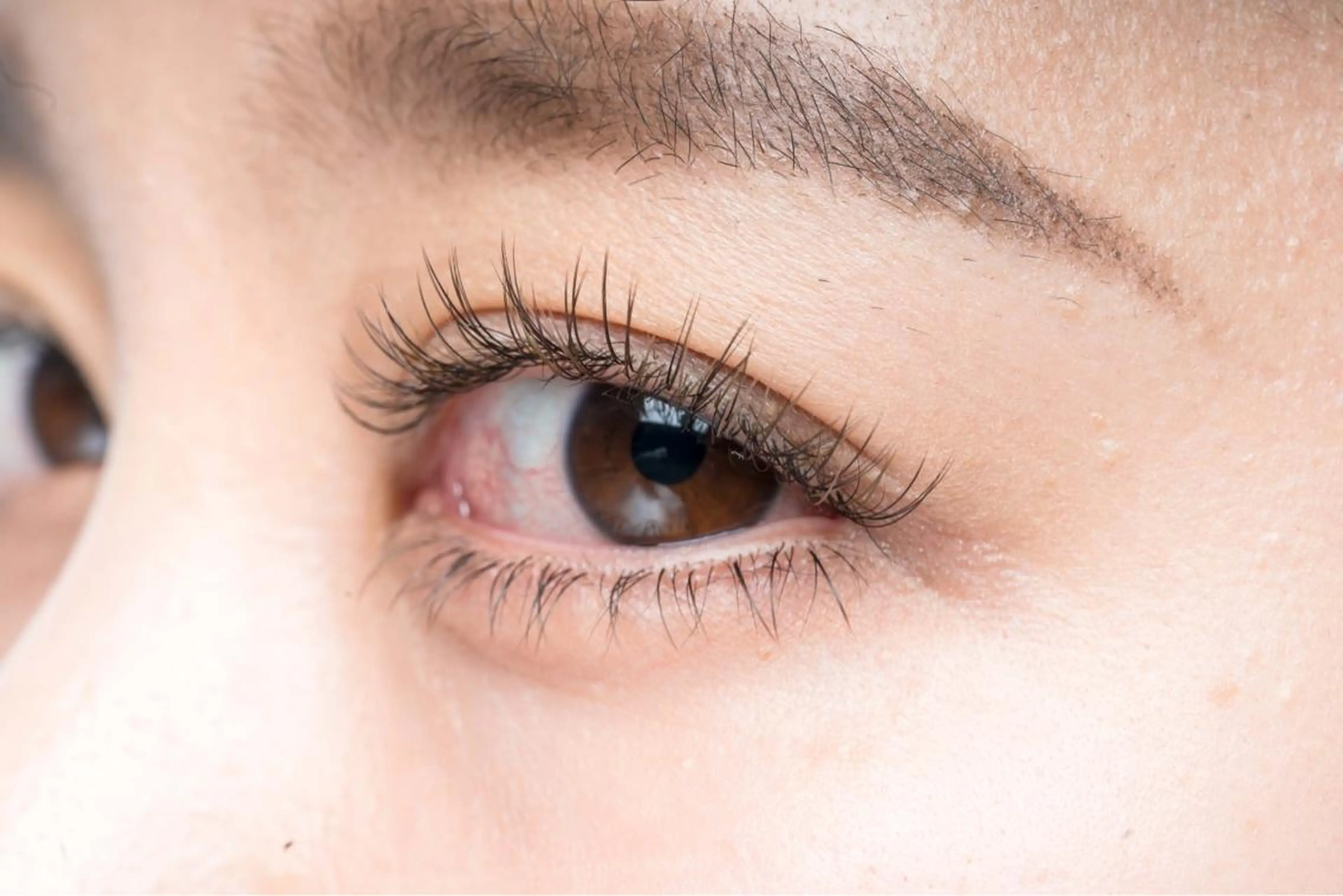 マツエク・マツパ eyelash MUGUETのマツエク・マツパデザイン