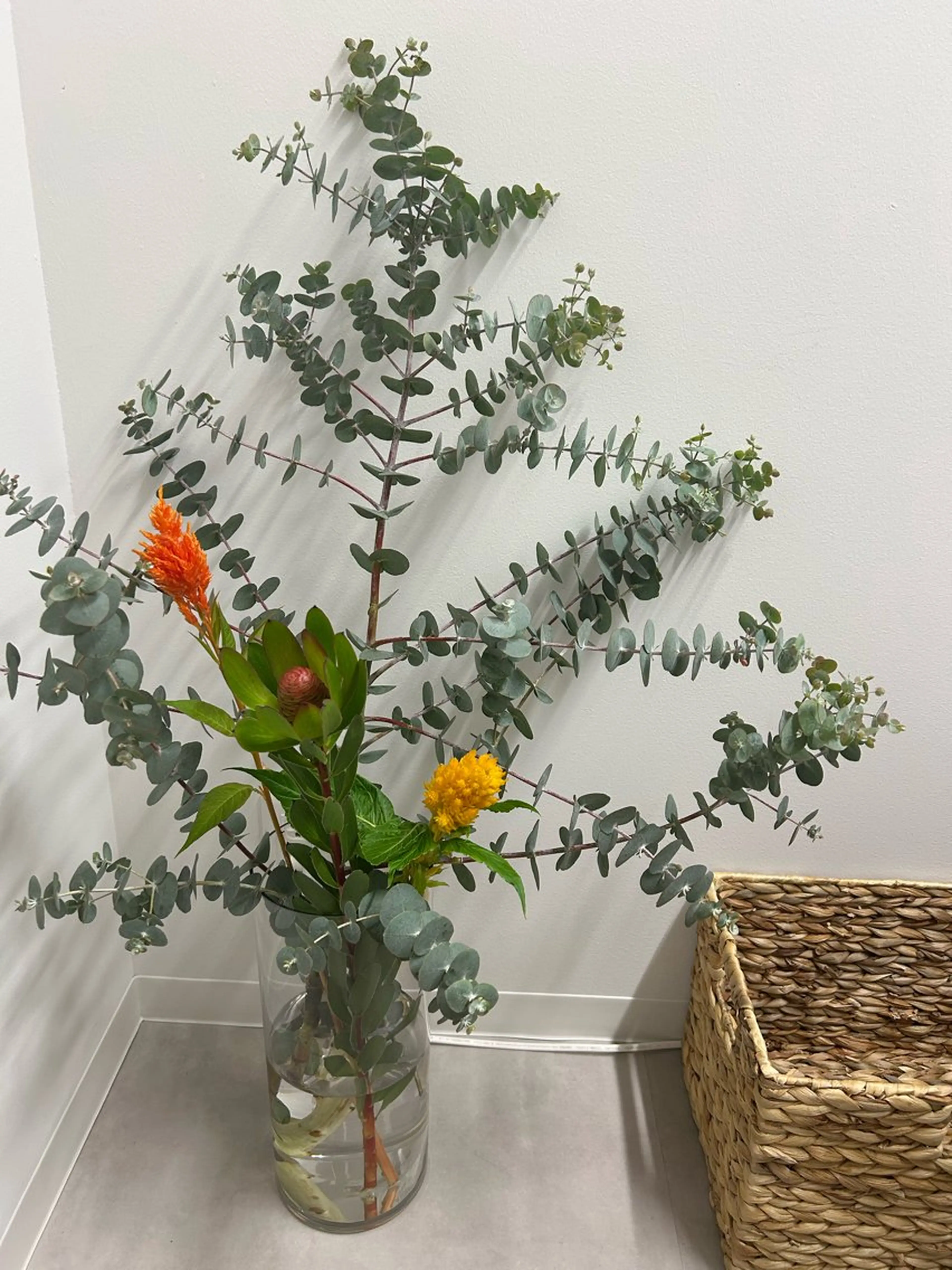 ネイル 透灯 TOUTOU所属・透灯 TOUTOU 🪄のネイルデザイン