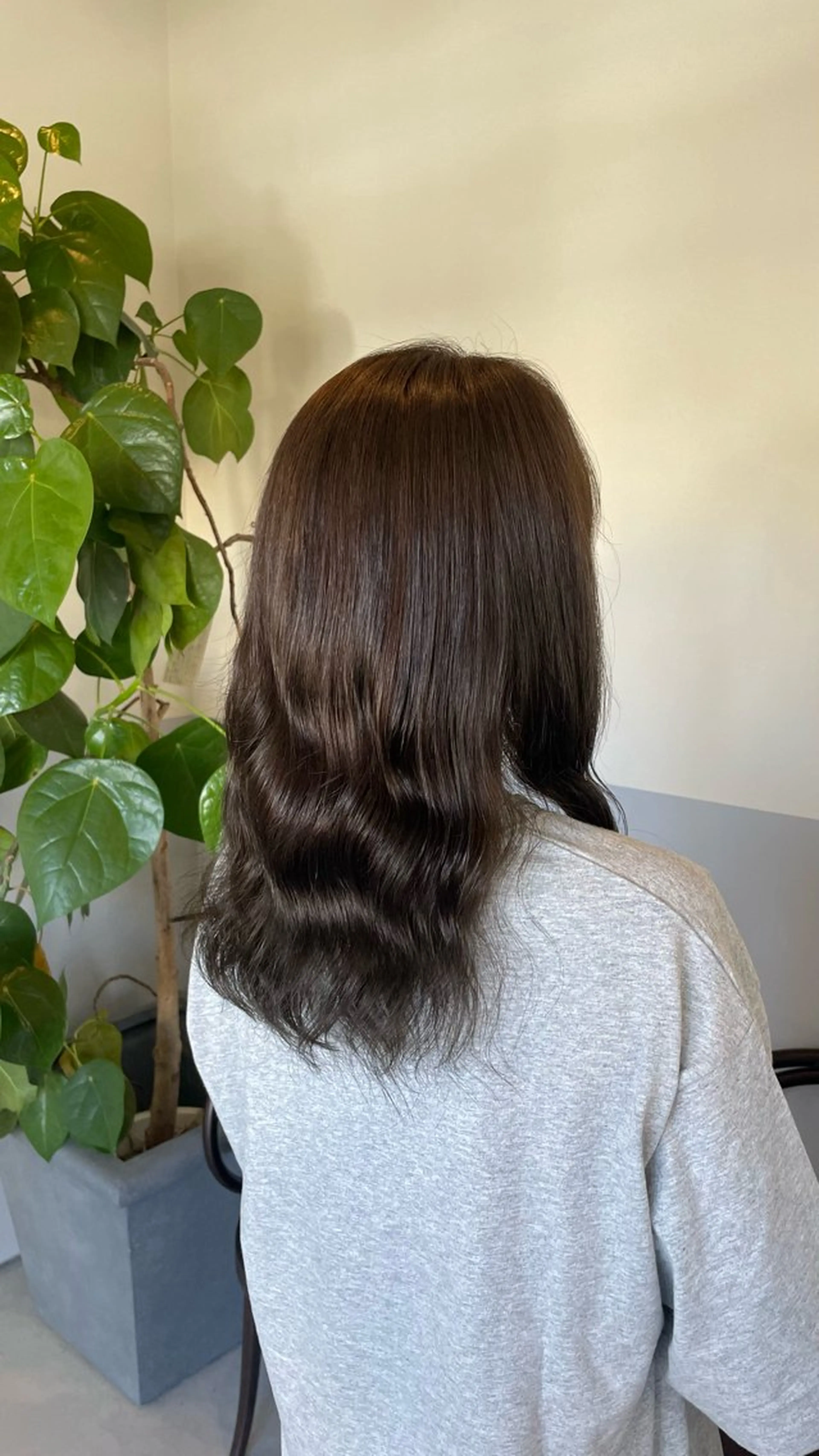 カラー グレージュ オリーブグレージュ オリーブグレー basho ノエ.／カットモデルのヘアスタイル