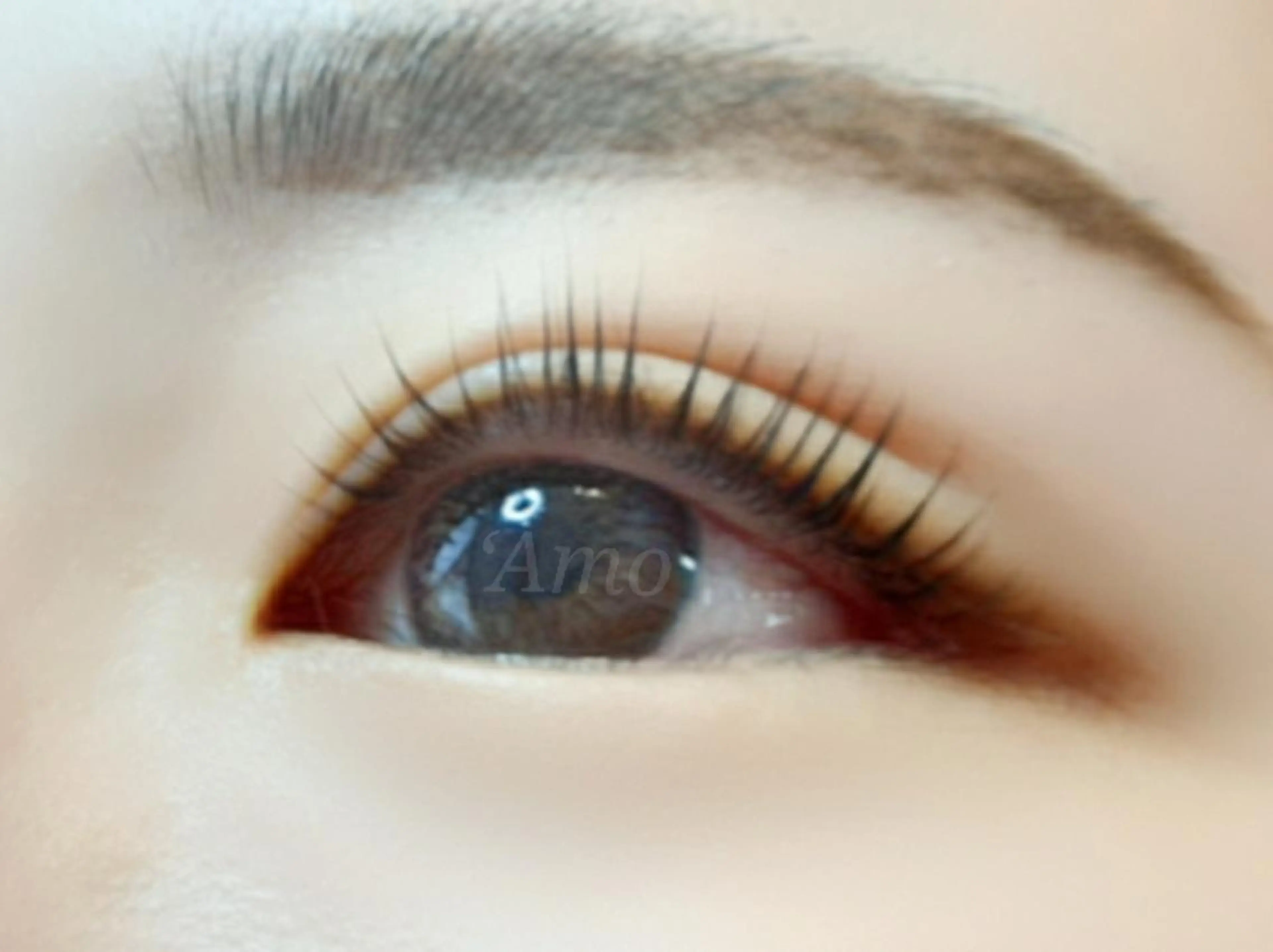 マツエク・マツパ パリジェンヌラッシュリフト ‘Amo アモのマツエク・マツパデザイン