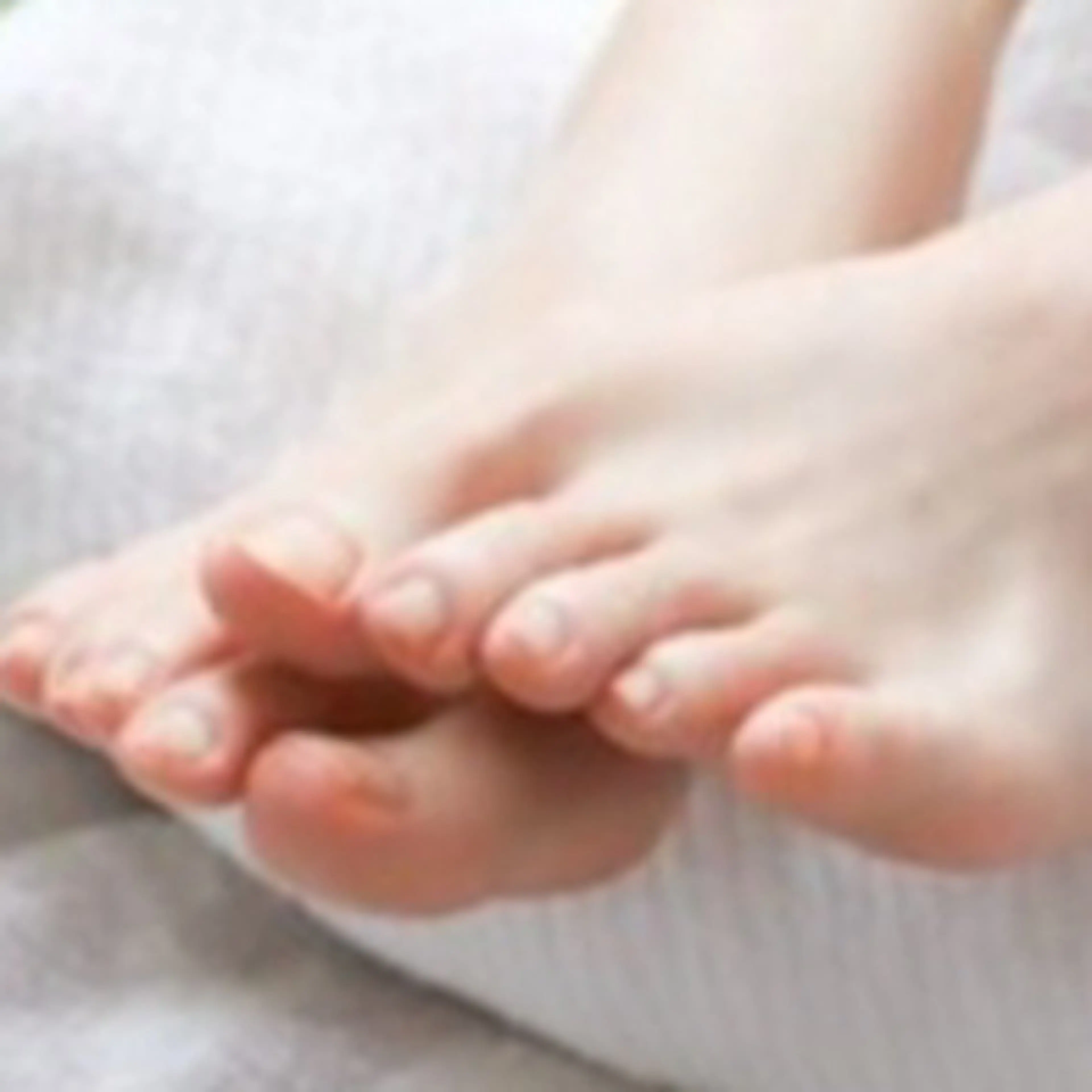 [フット]ワンカラー4色限定より選べますの写真