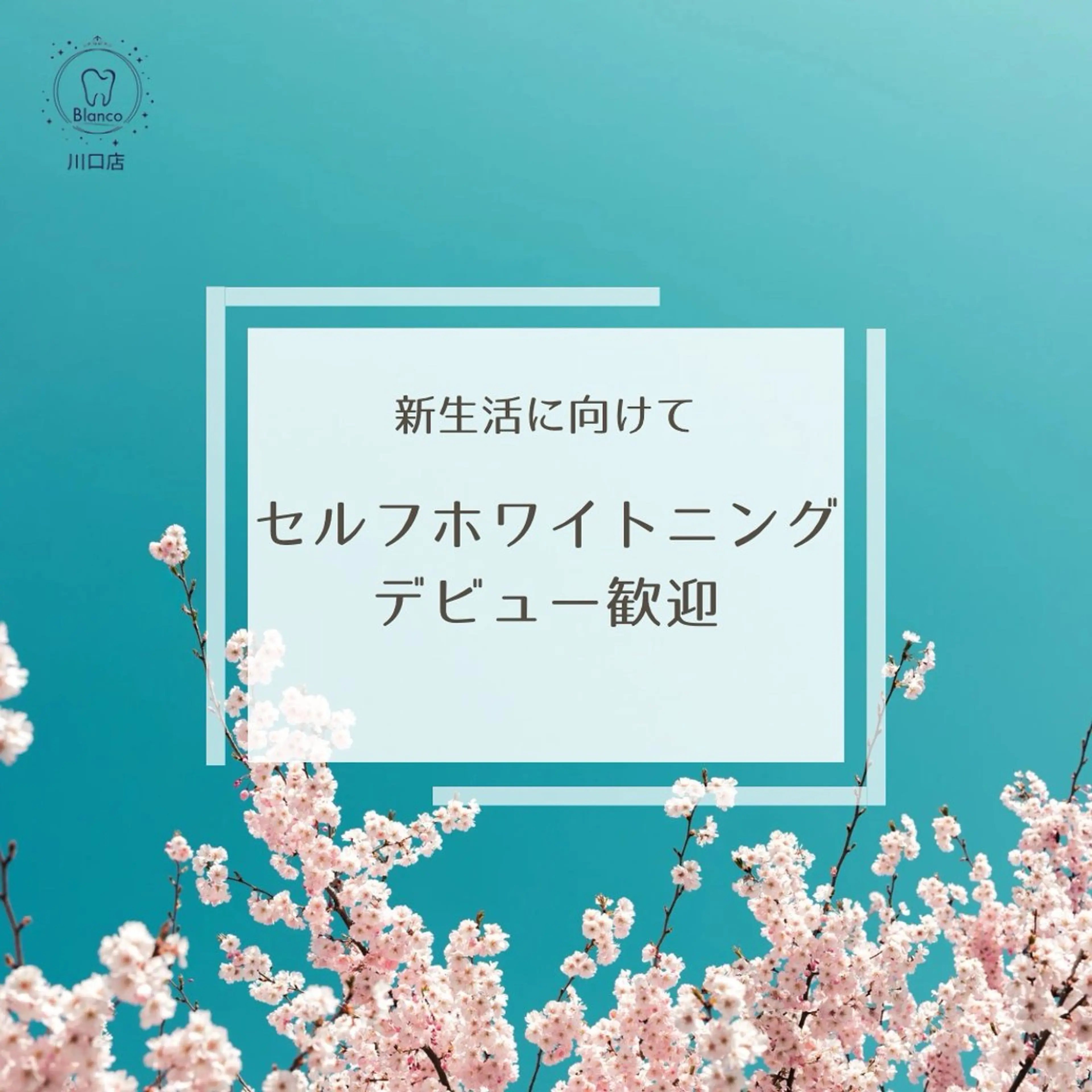 その他 Blanco川口駅前店所属・Blanco 川口駅前店のその他イメージ