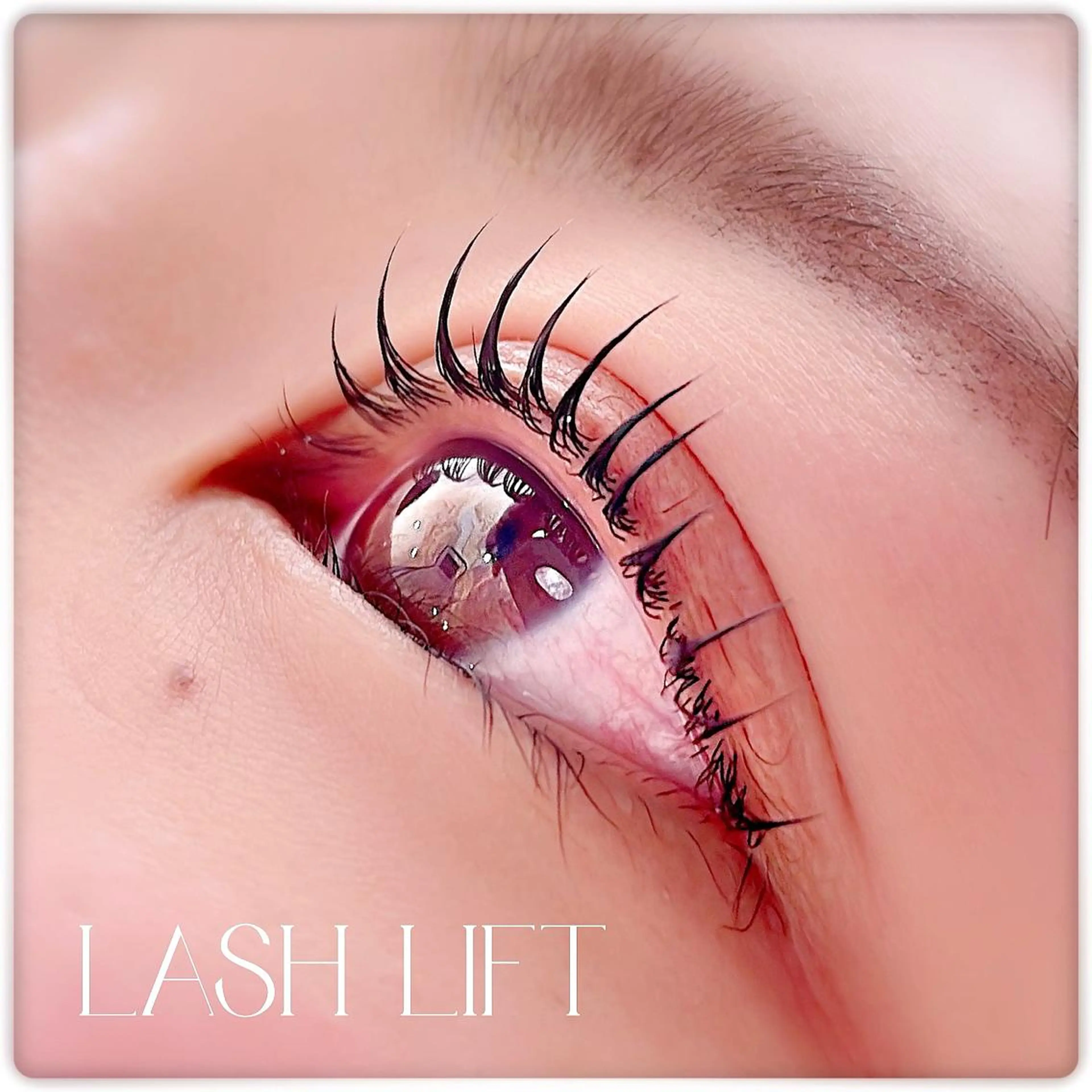 マツエク・マツパ Lash&Brow Mignonのマツエク・マツパデザイン