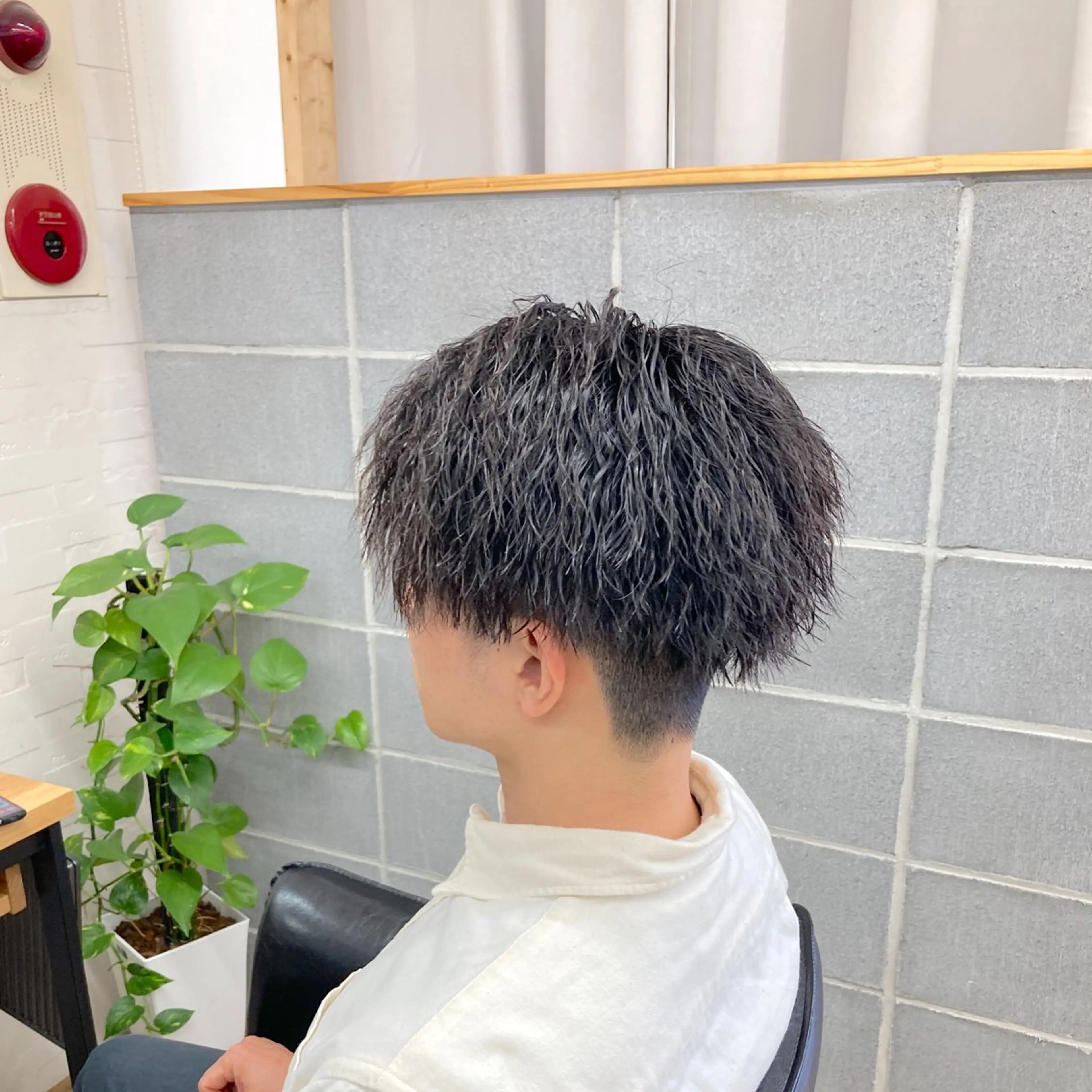 ショート パーマ メンズ カット パーマ メンズ特化/垣見 隼人のヘアスタイル