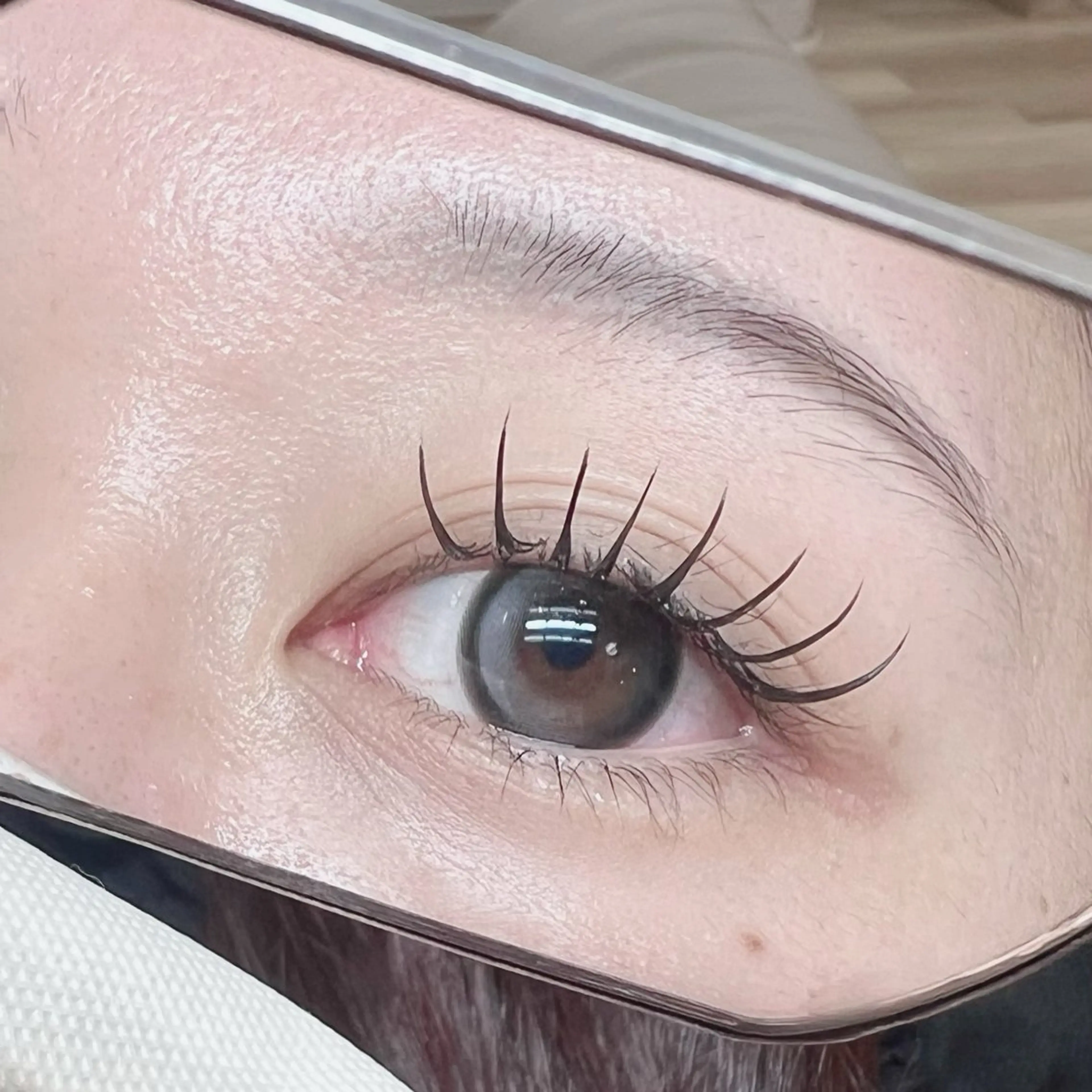フラットラッシュ120本の写真