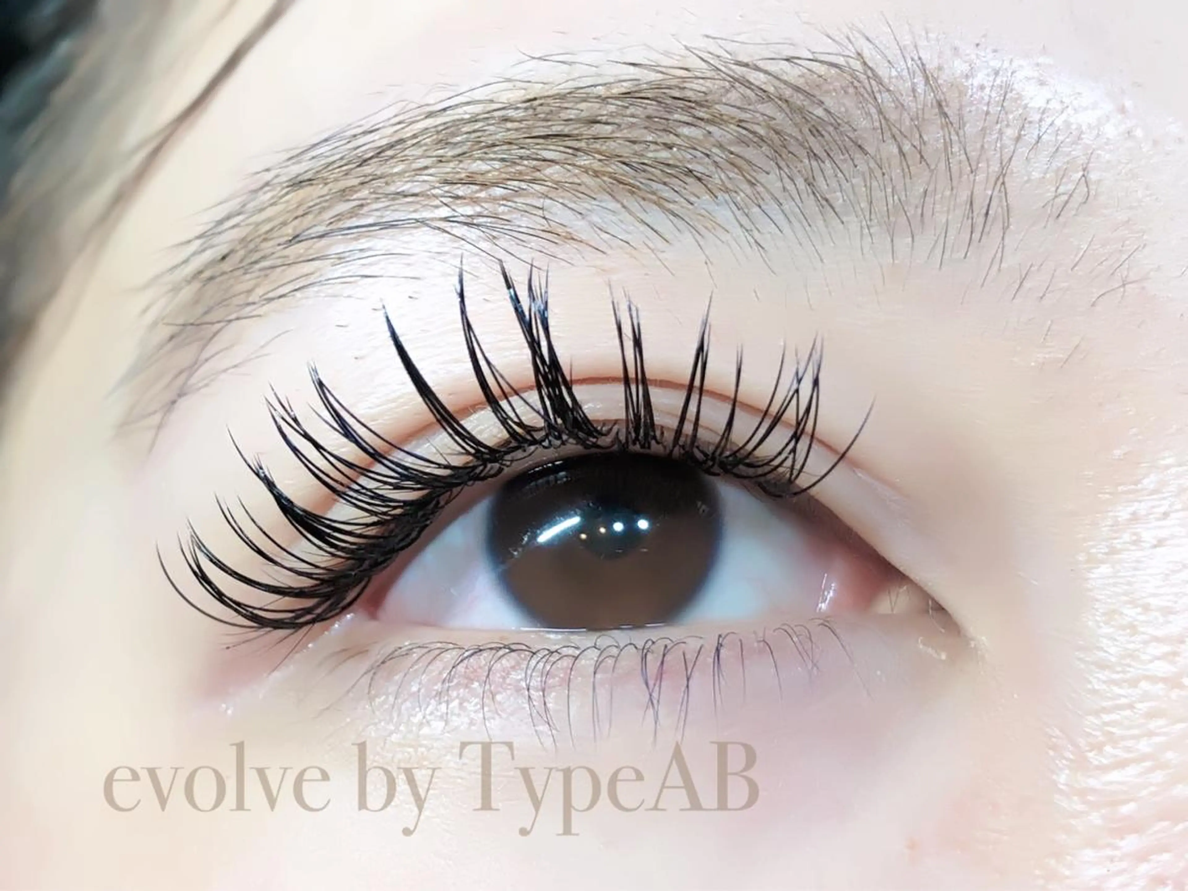 マツエク・マツパ マツエク evolve by TypeAB所属・evolve  by TypeABのマツエク・マツパデザイン