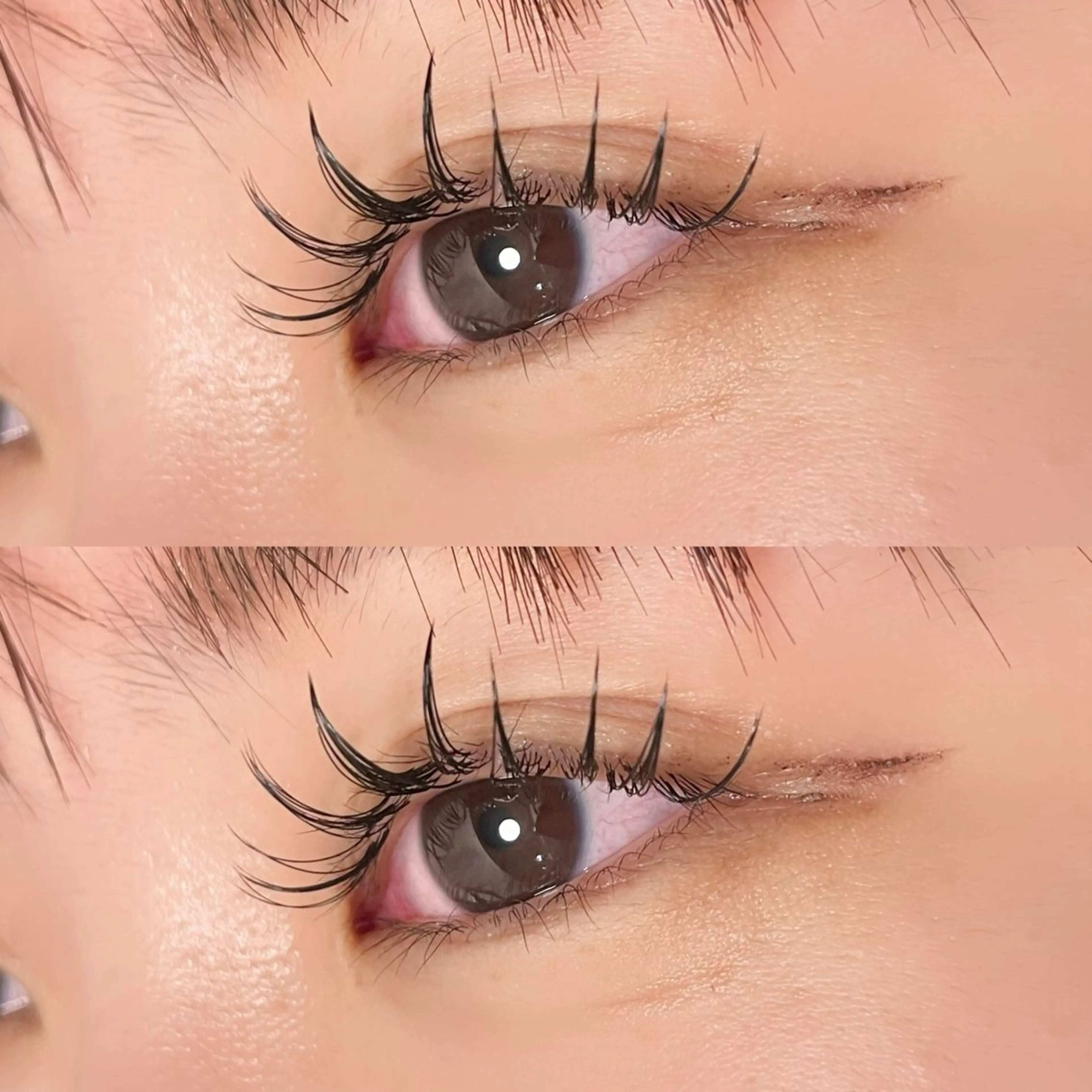 マツエク・マツパ ゴージャス マツエク Ayumi.dre 🌸Y《2階》のマツエク・マツパデザイン