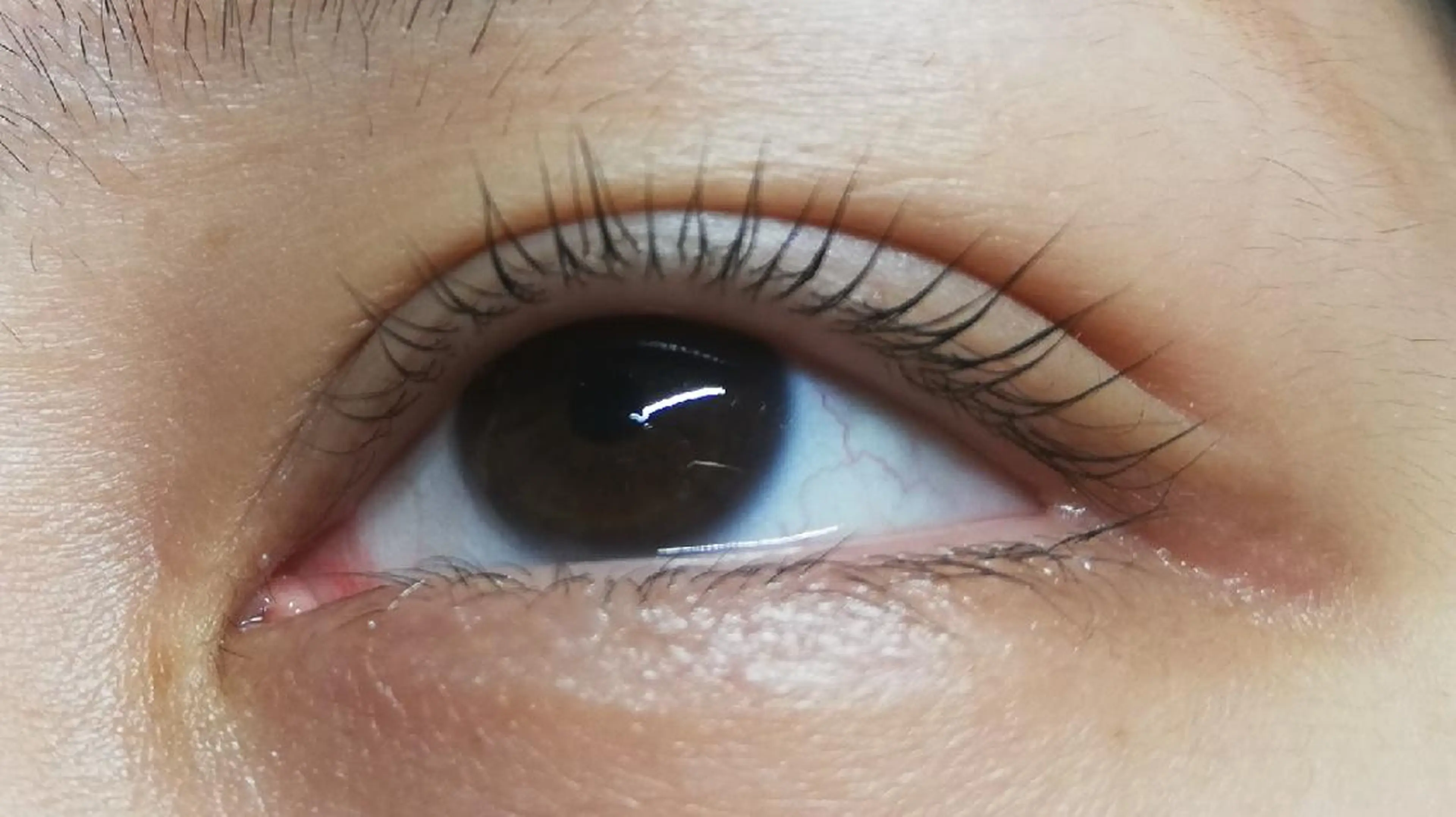 マツエク・マツパ angelux 所属・完全個室サロン🌹 angelux🌹のマツエク・マツパデザイン