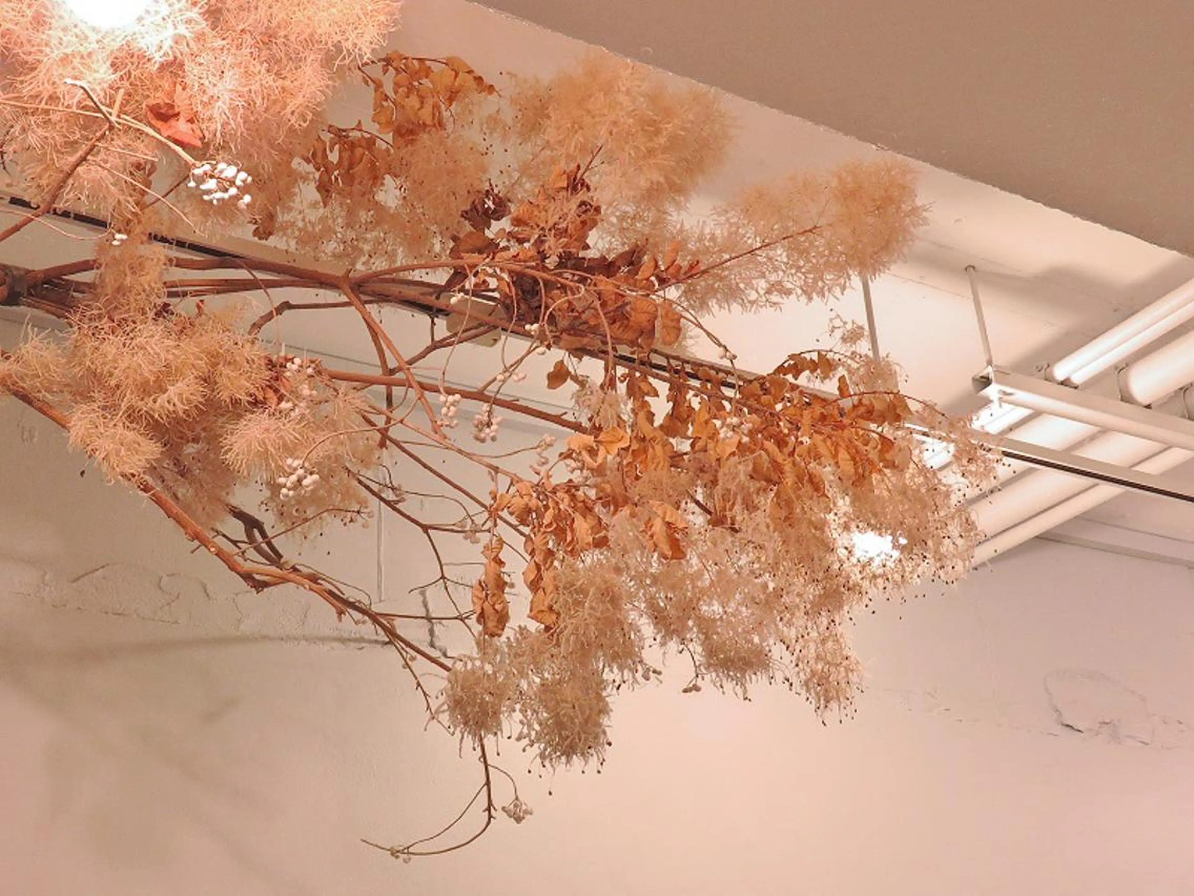 マツエク・マツパ ponopipi 小倉店のマツエク・マツパデザイン