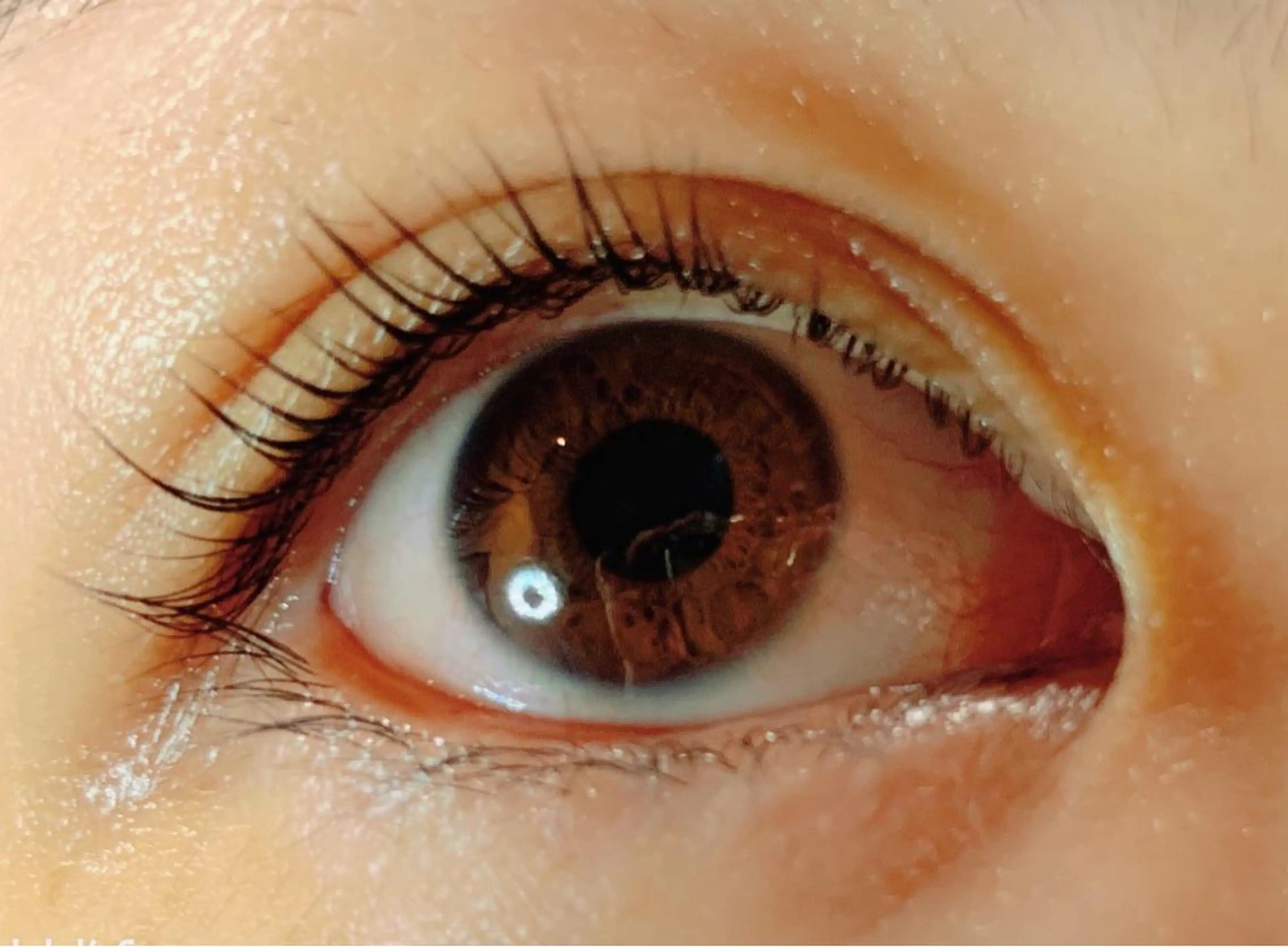 マツエク・マツパ Eyelash Salon 4Uのマツエク・マツパデザイン