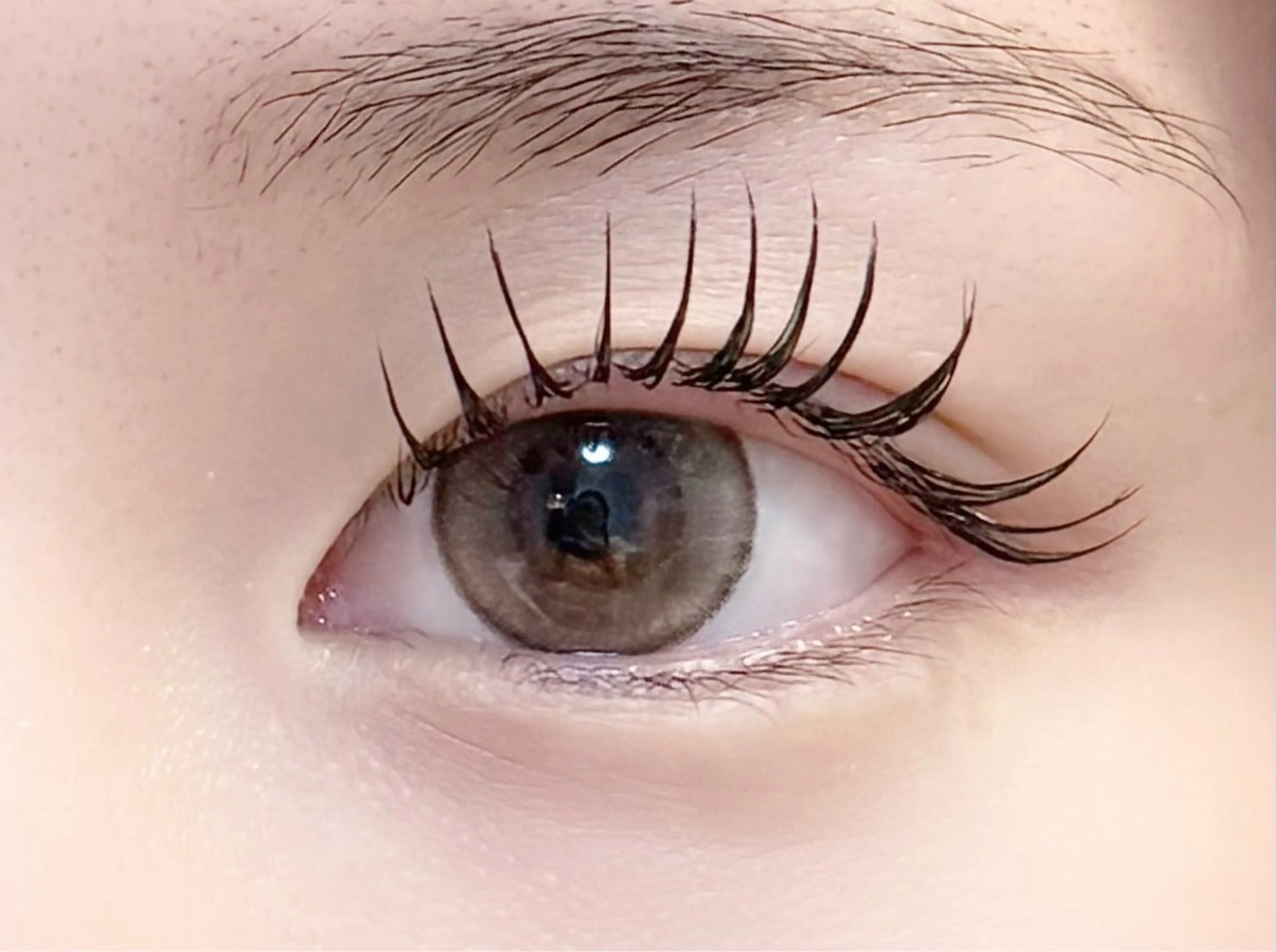 マツエク・マツパ マツパ Leola ERIKAのマツエク・マツパデザイン