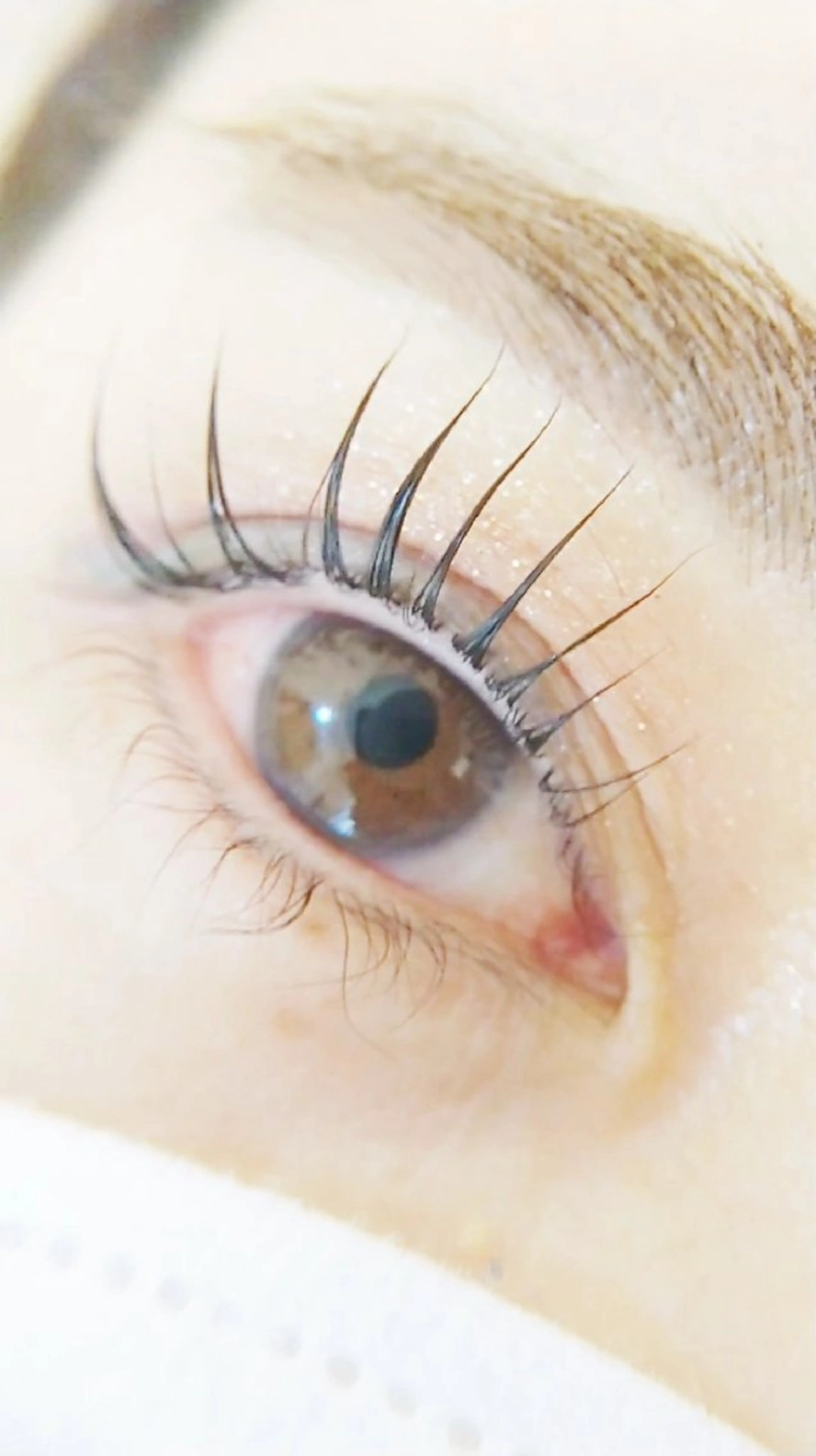 12/5(金)限定特別モデル価格【ラッシュリフト】の写真