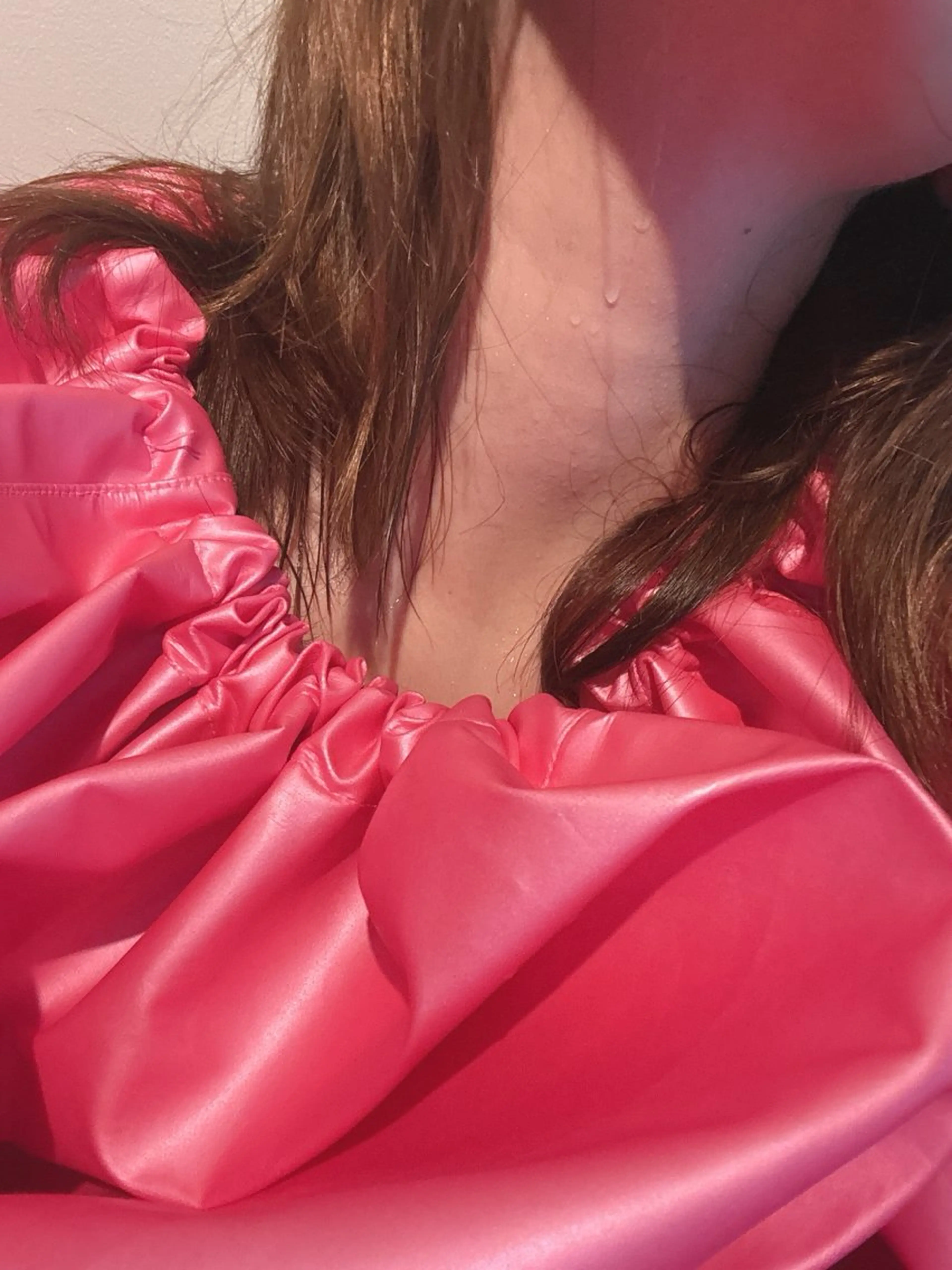 無農薬漢方蒸しの写真