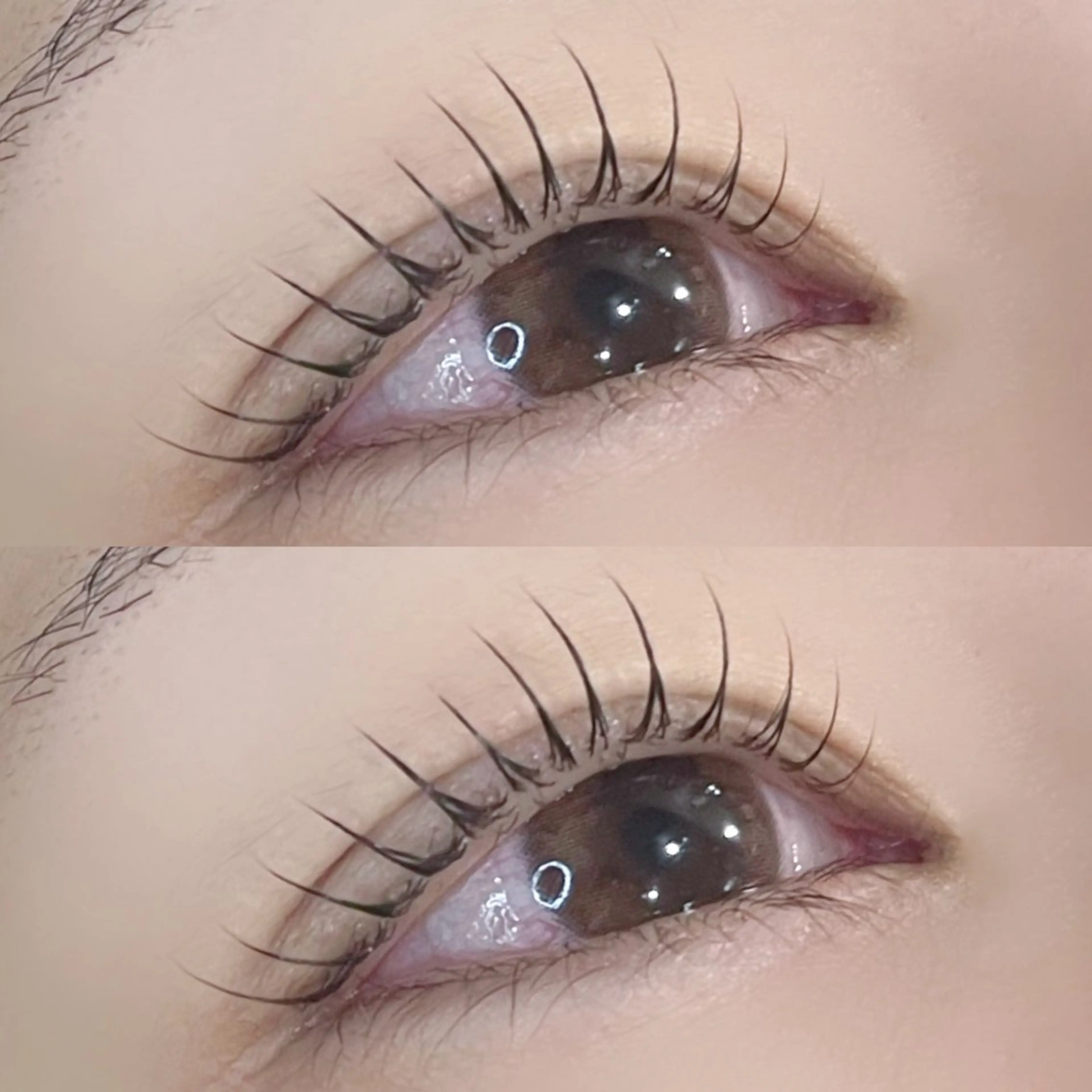 🎀まつ毛パーマ🎀¥6,000→¥4,730の写真