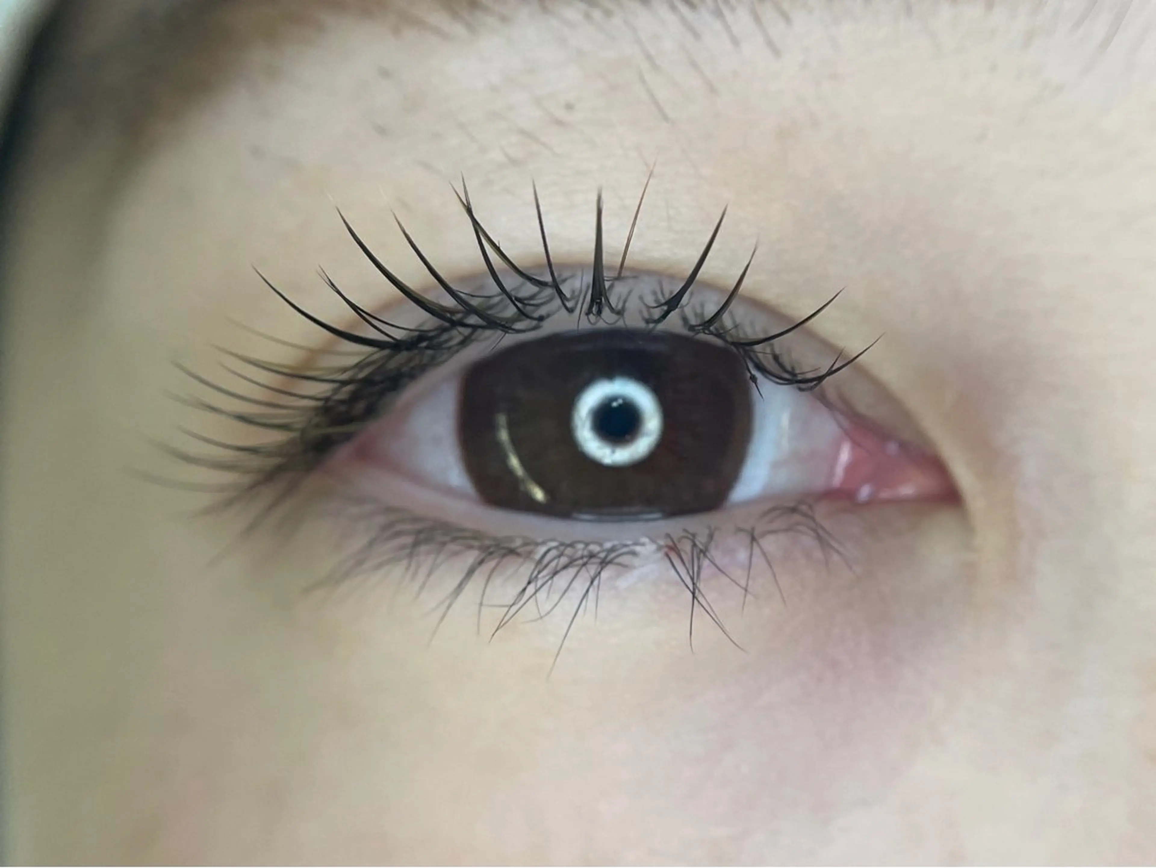 マツエク・マツパ マツエク irie hair &　eyelash所属・irie(ｱｲﾘｰ) hair&eyeのマツエク・マツパデザイン