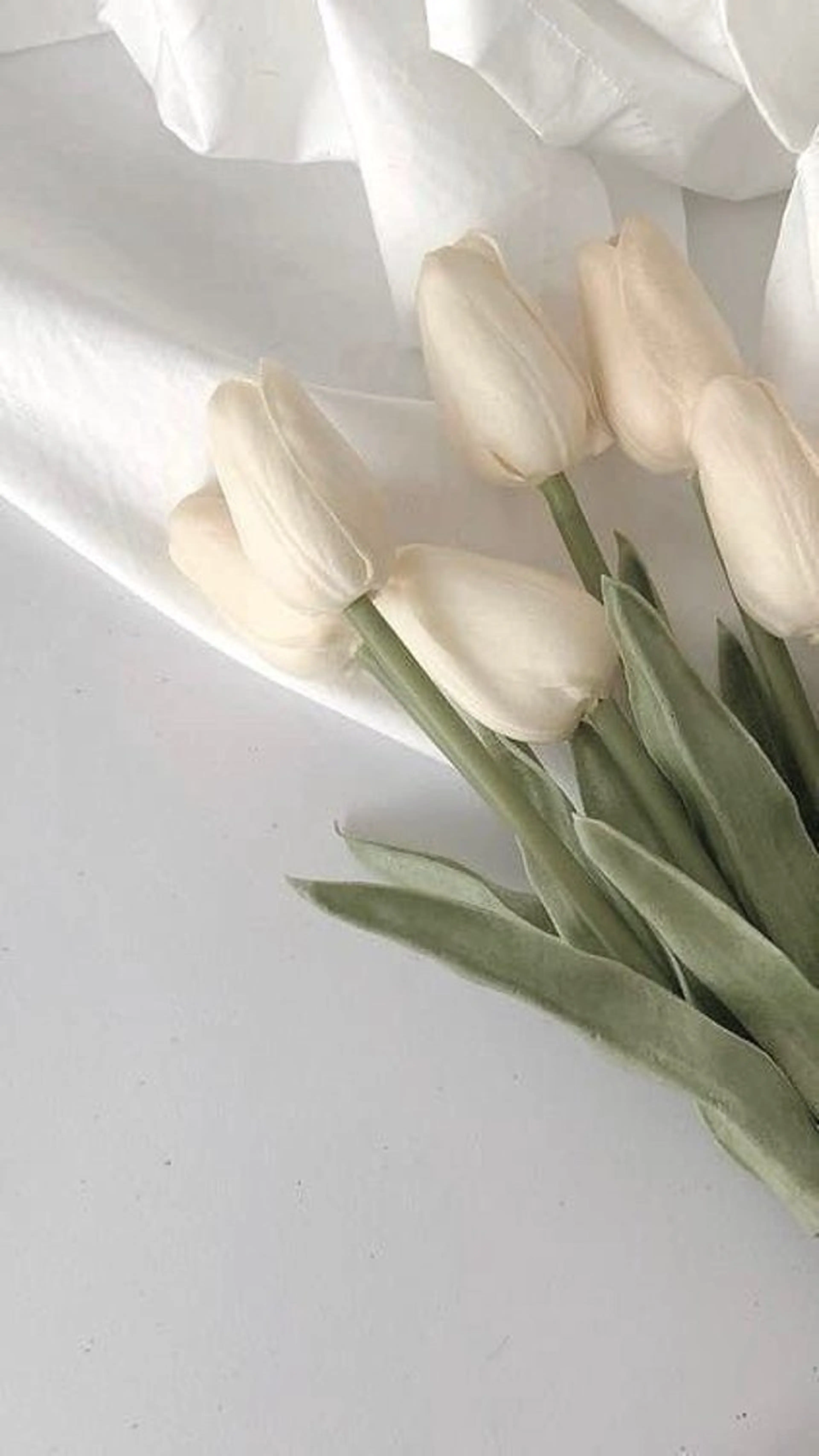 eyelist yumiのマツエク・マツパデザイン