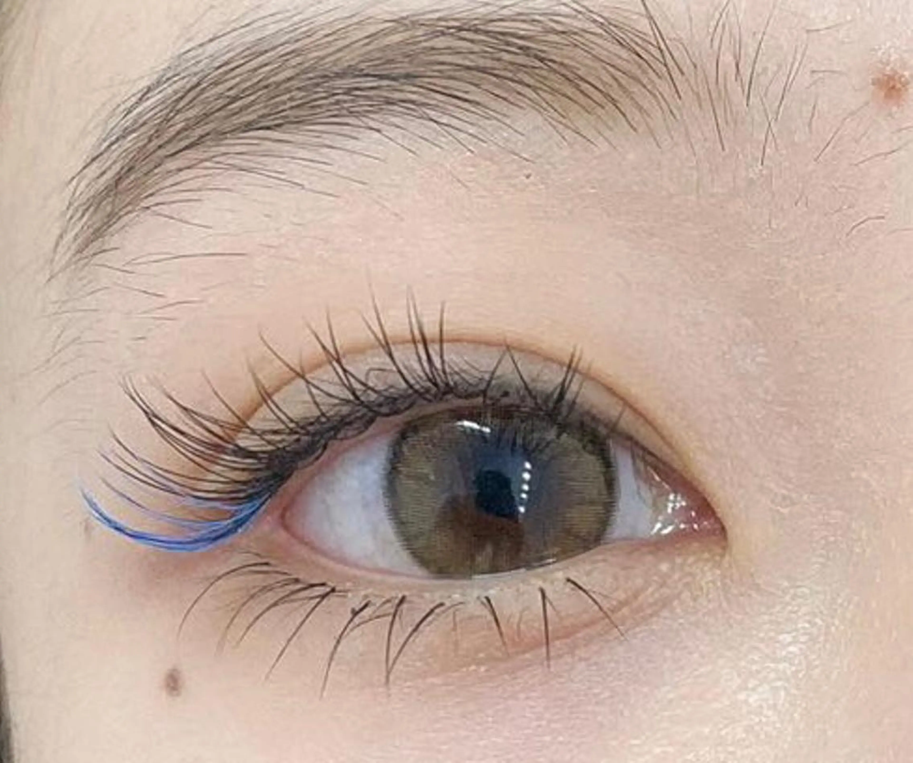 マツエク・マツパ フラットラッシュ Arana salonあゆみ🦋のマツエク・マツパデザイン