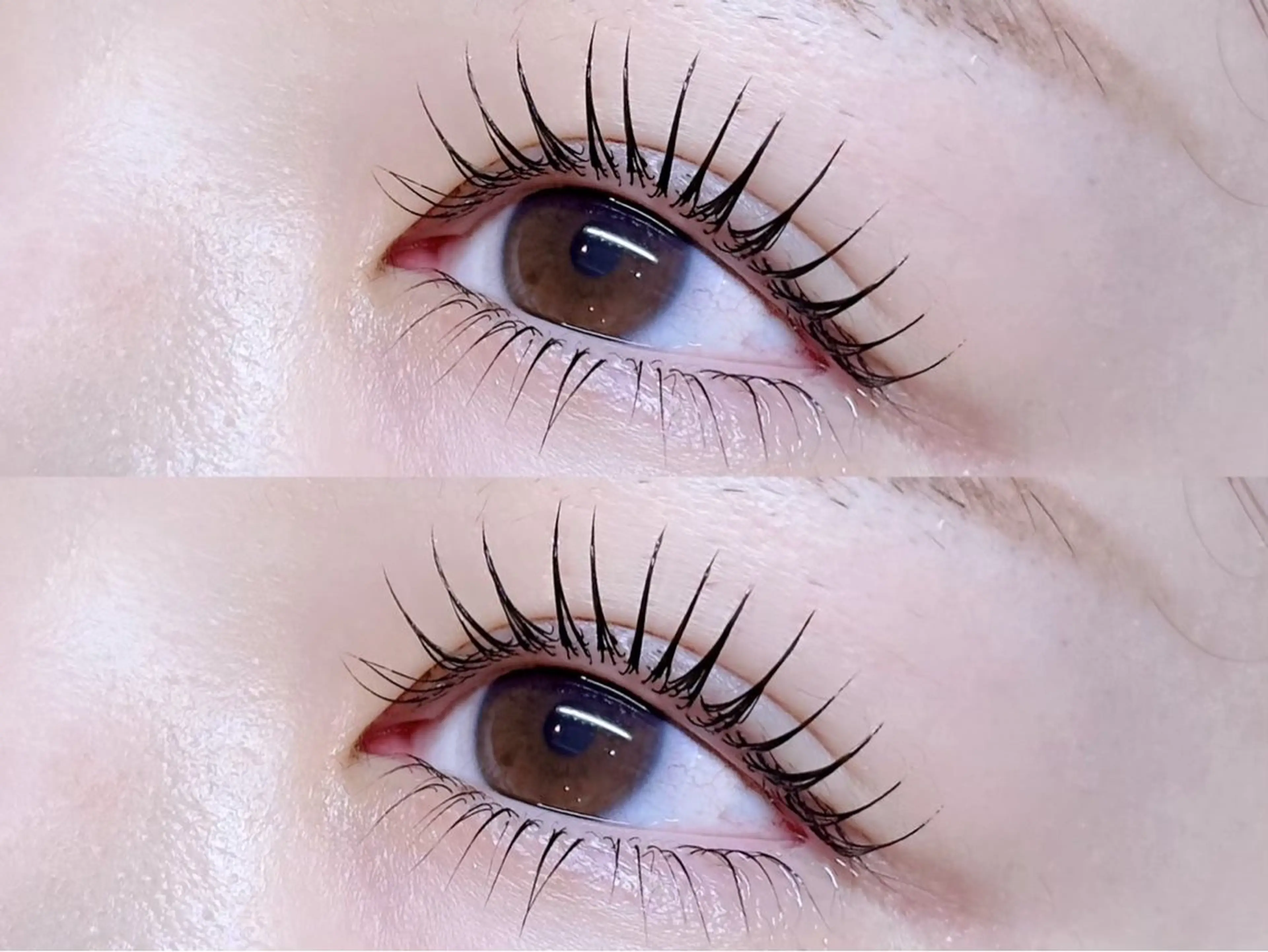 🫧上下まつげパーマ🫧の写真