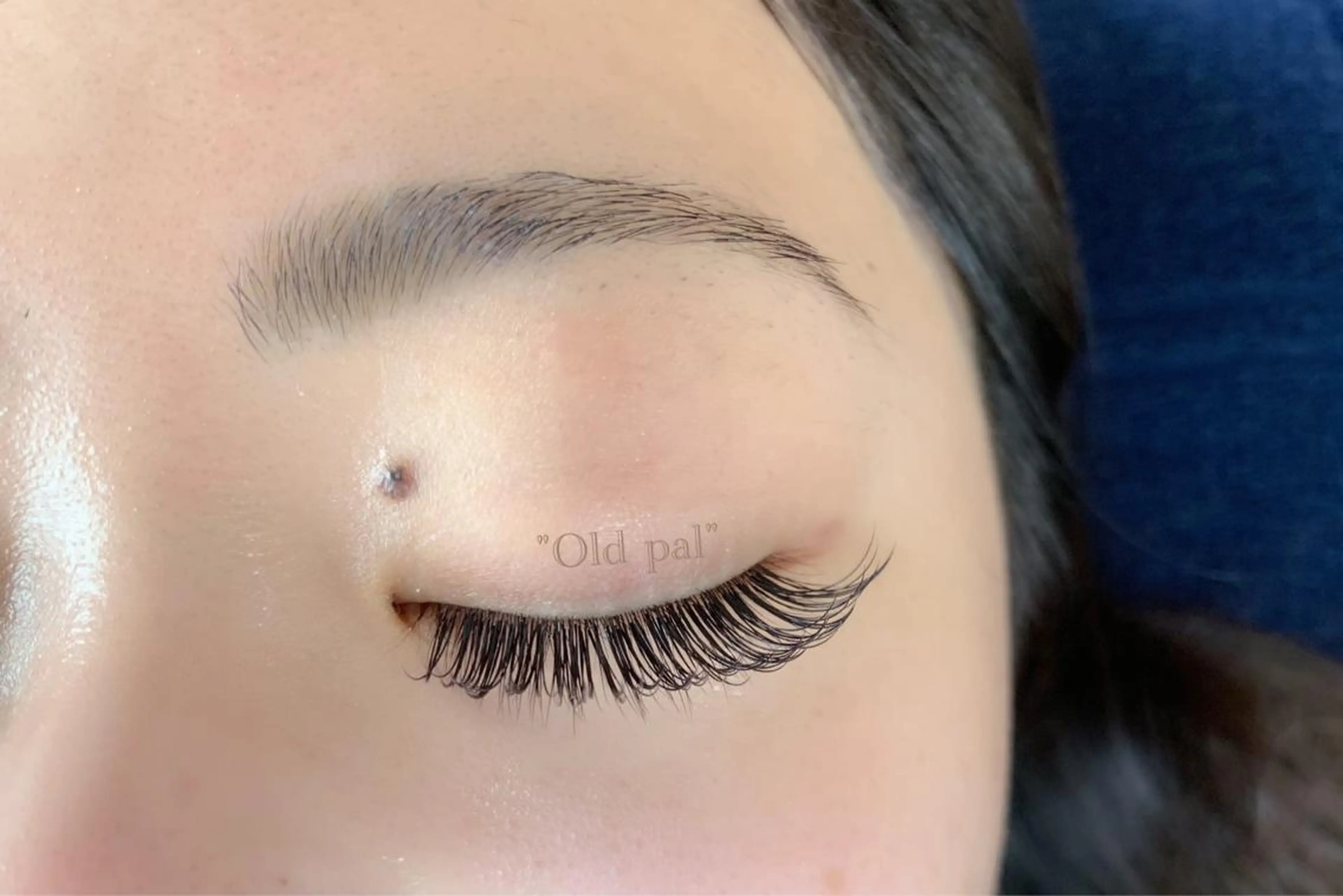 最高級セーブルつけ放題 オフありの写真