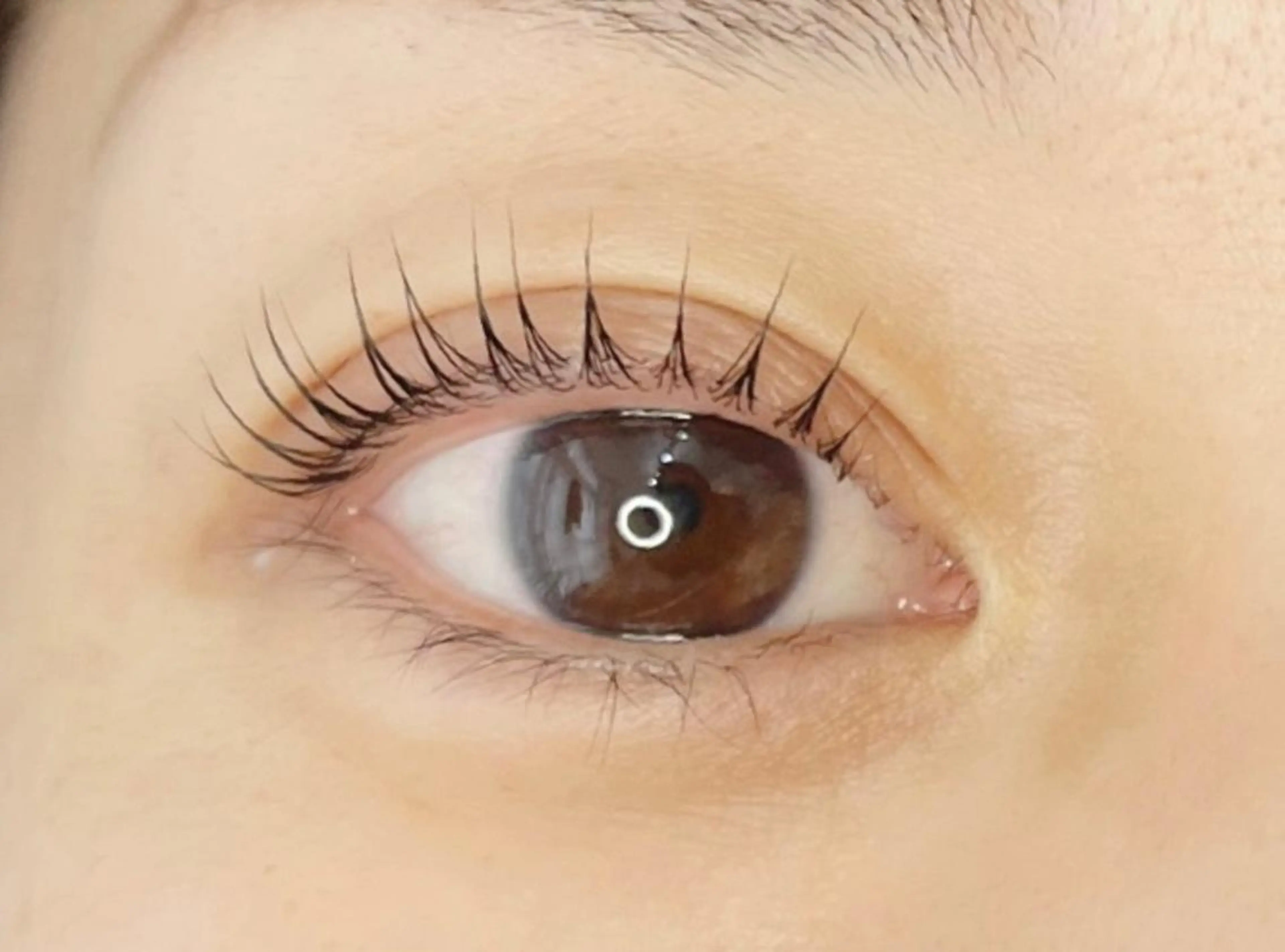 マツエク・マツパ マツパ 《eyelash ｉｉｔｅ》森のマツエク・マツパデザイン