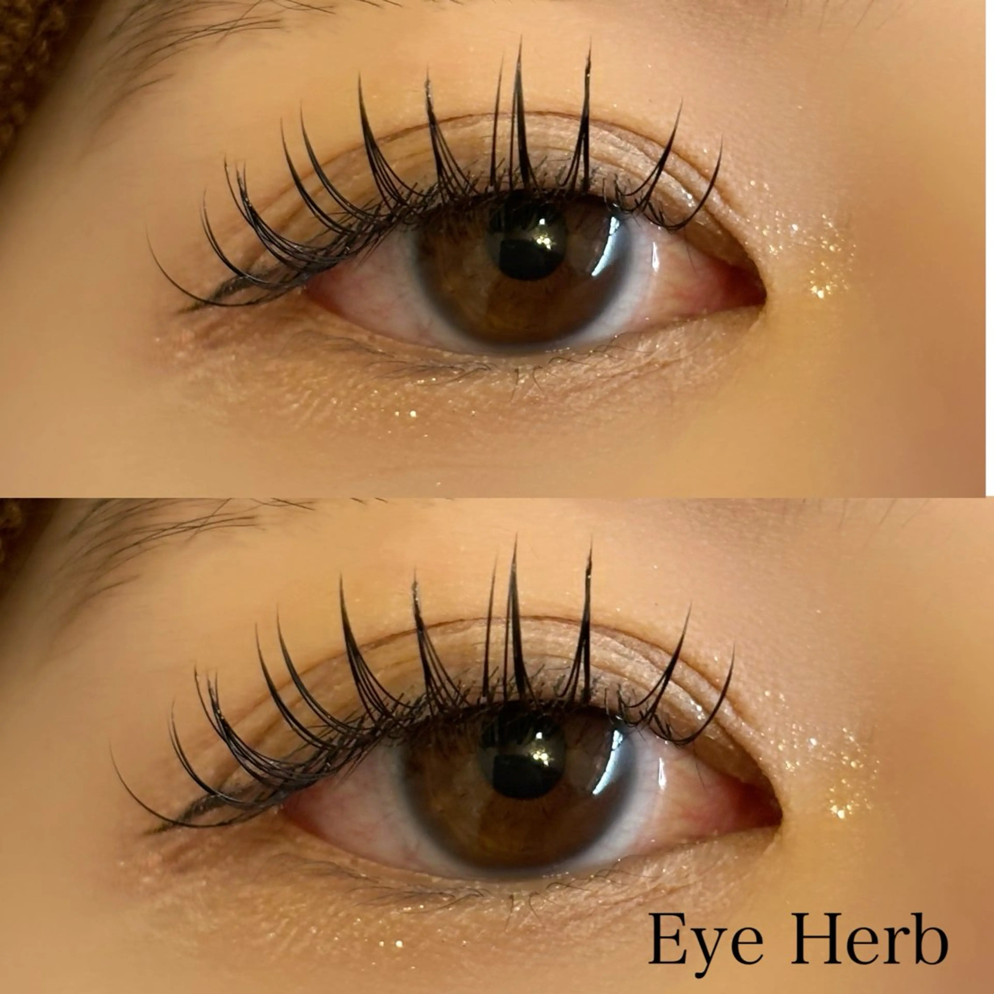 マツエク・マツパ フラットラッシュ EyeHerb ♡rinのマツエク・マツパデザイン