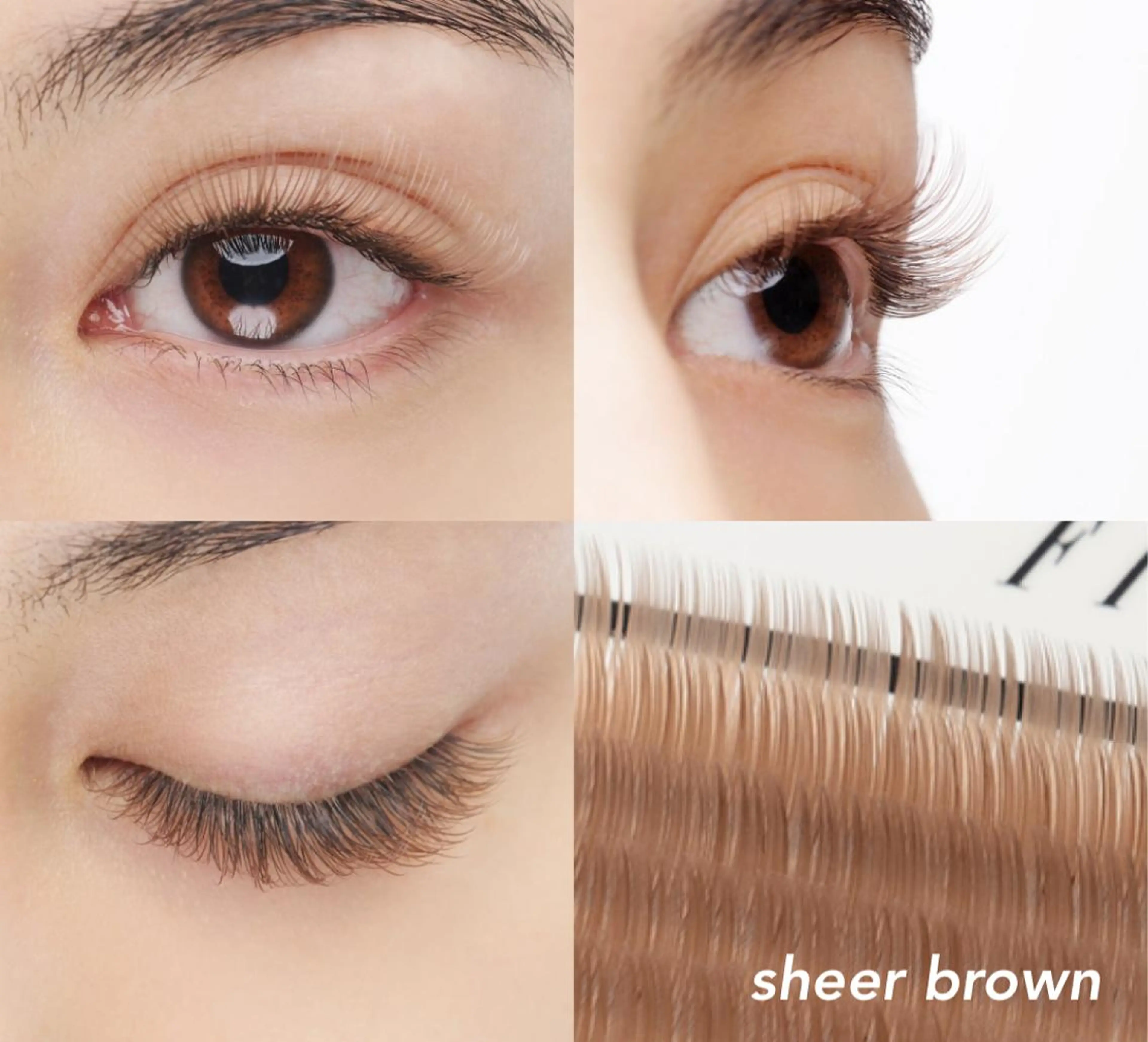 ãããšã¯ã»ããã ã«ã©ãŒãããšã¯ sola: neoliveçç°ã®ãããšã¯ã»ããããã¶ã€ã³