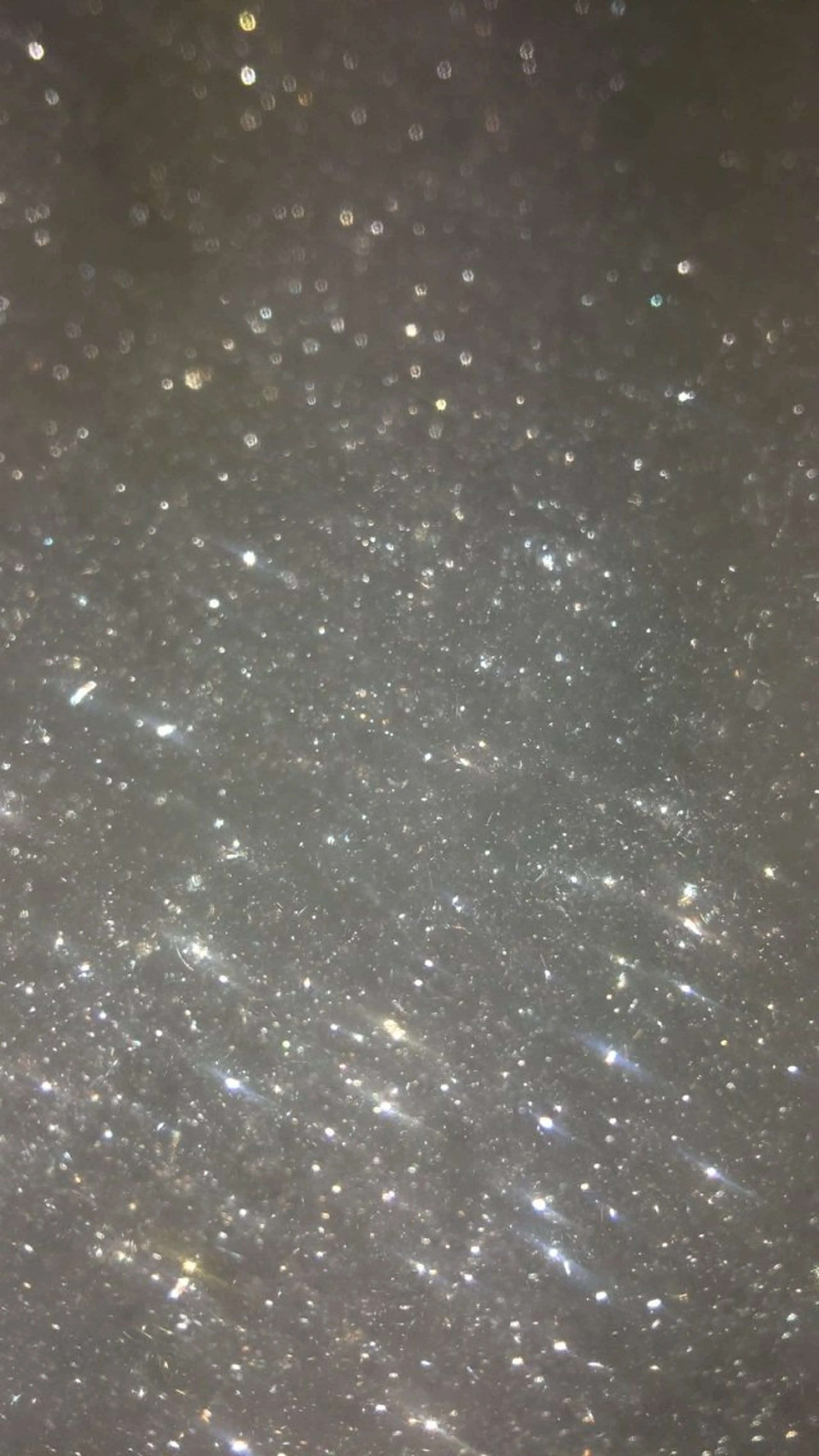 フレンチ【オフなし】の写真