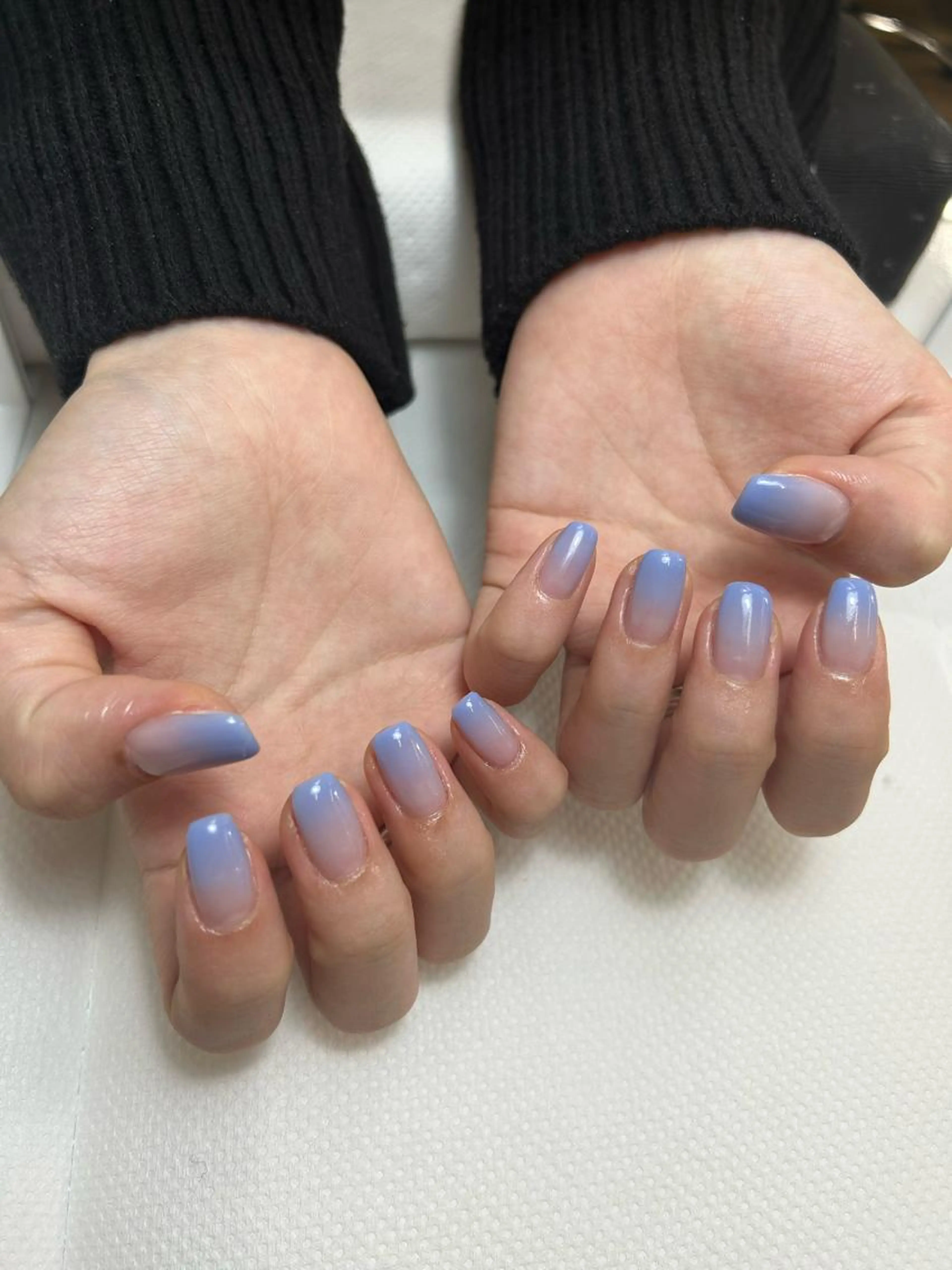 グラデーションカラー(オフ込み)の写真