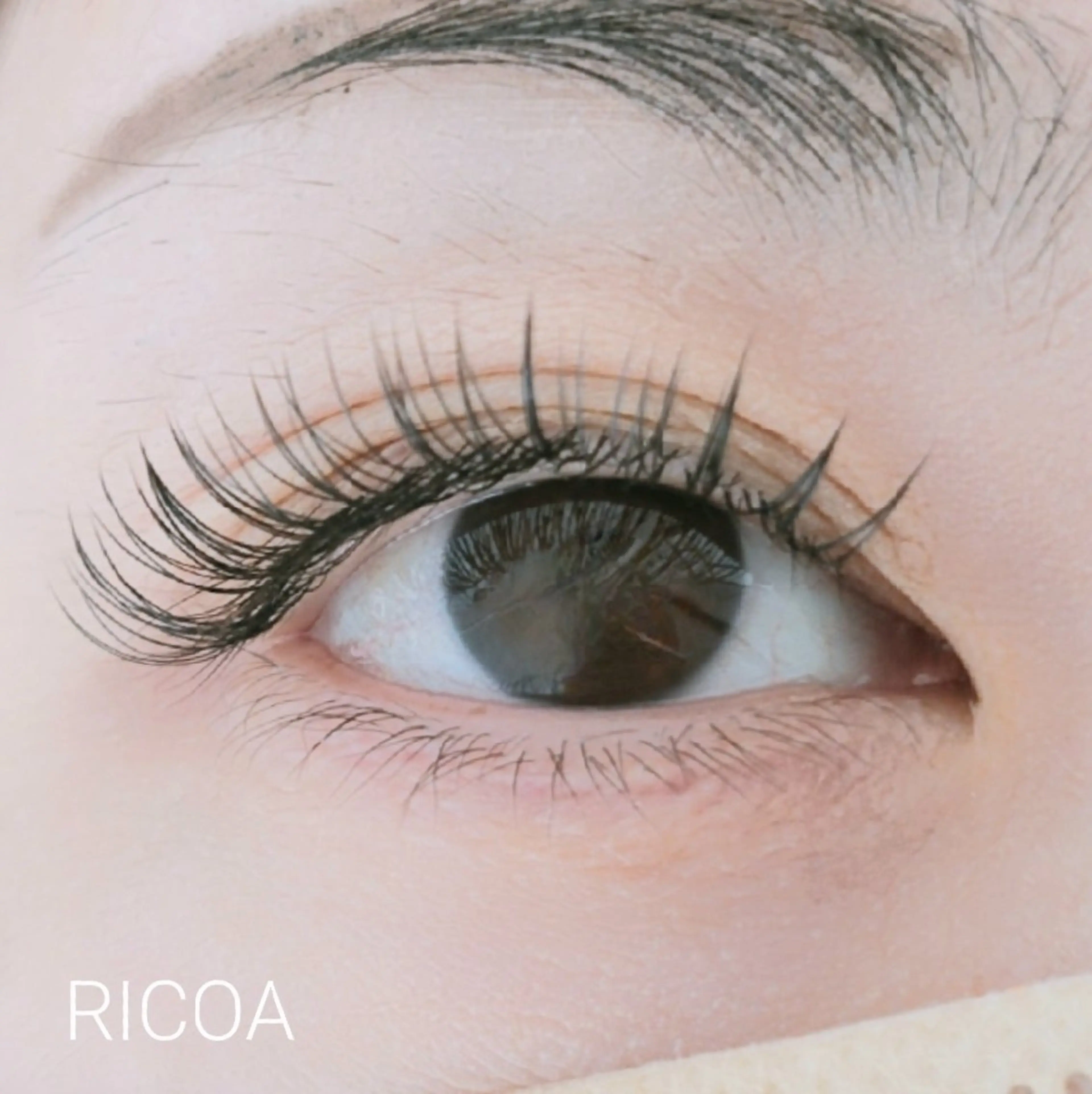 マツエク・マツパ フラットラッシュ RICOA 酒井のマツエク・マツパデザイン