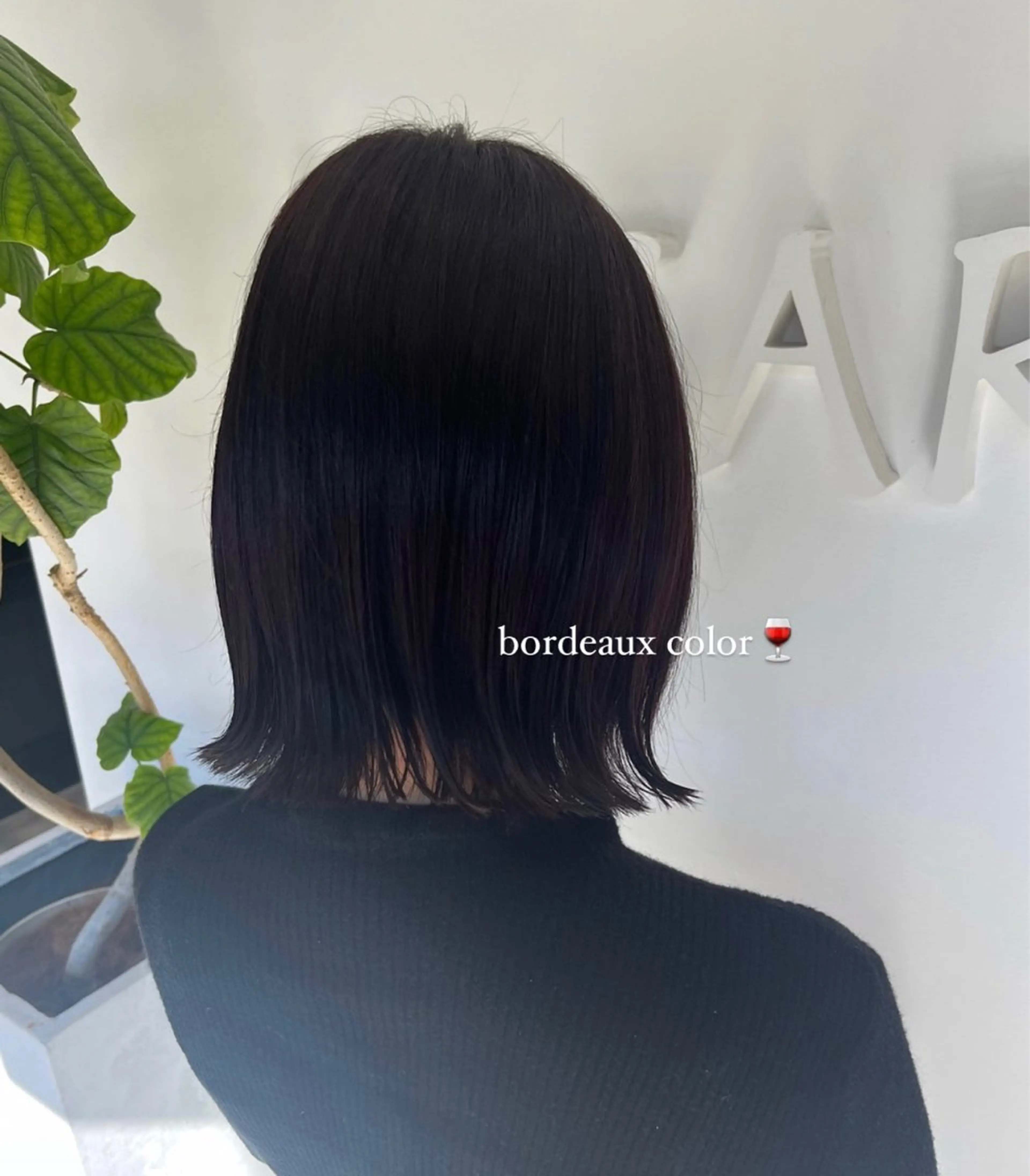 カラー ボルドーカラー 透明感カラー／ 艶感カラー／RAMUのヘアスタイル
