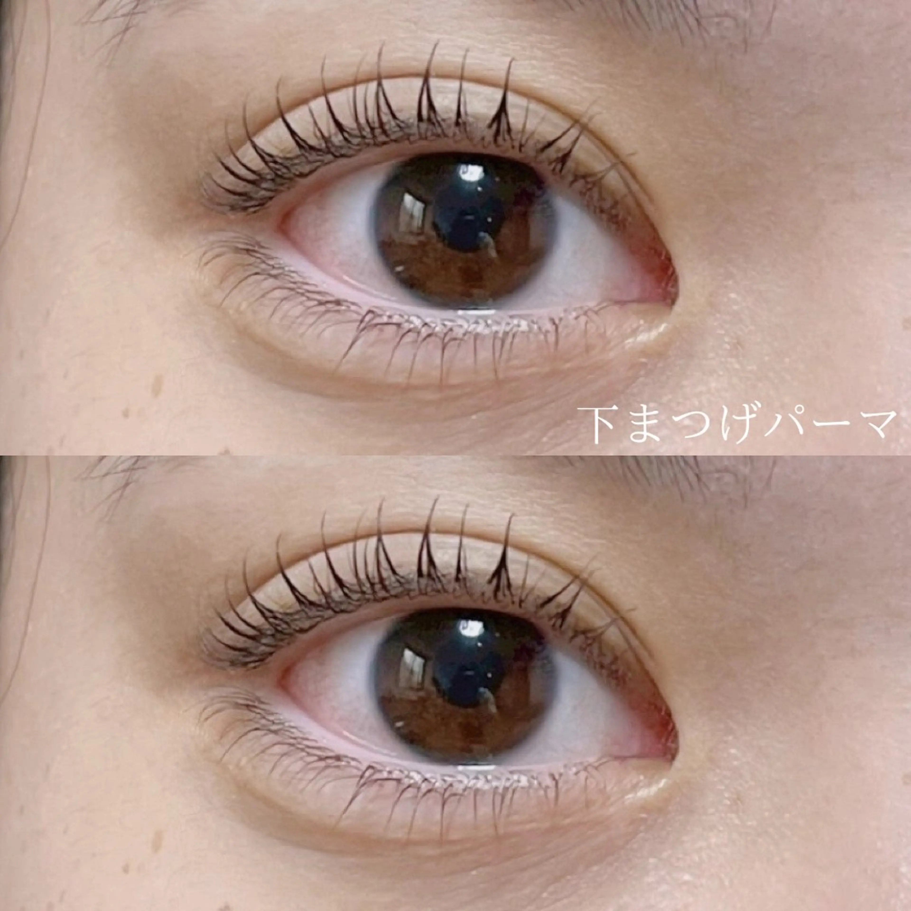 〈ミニモ学割〉まつげパーマ下のみの写真