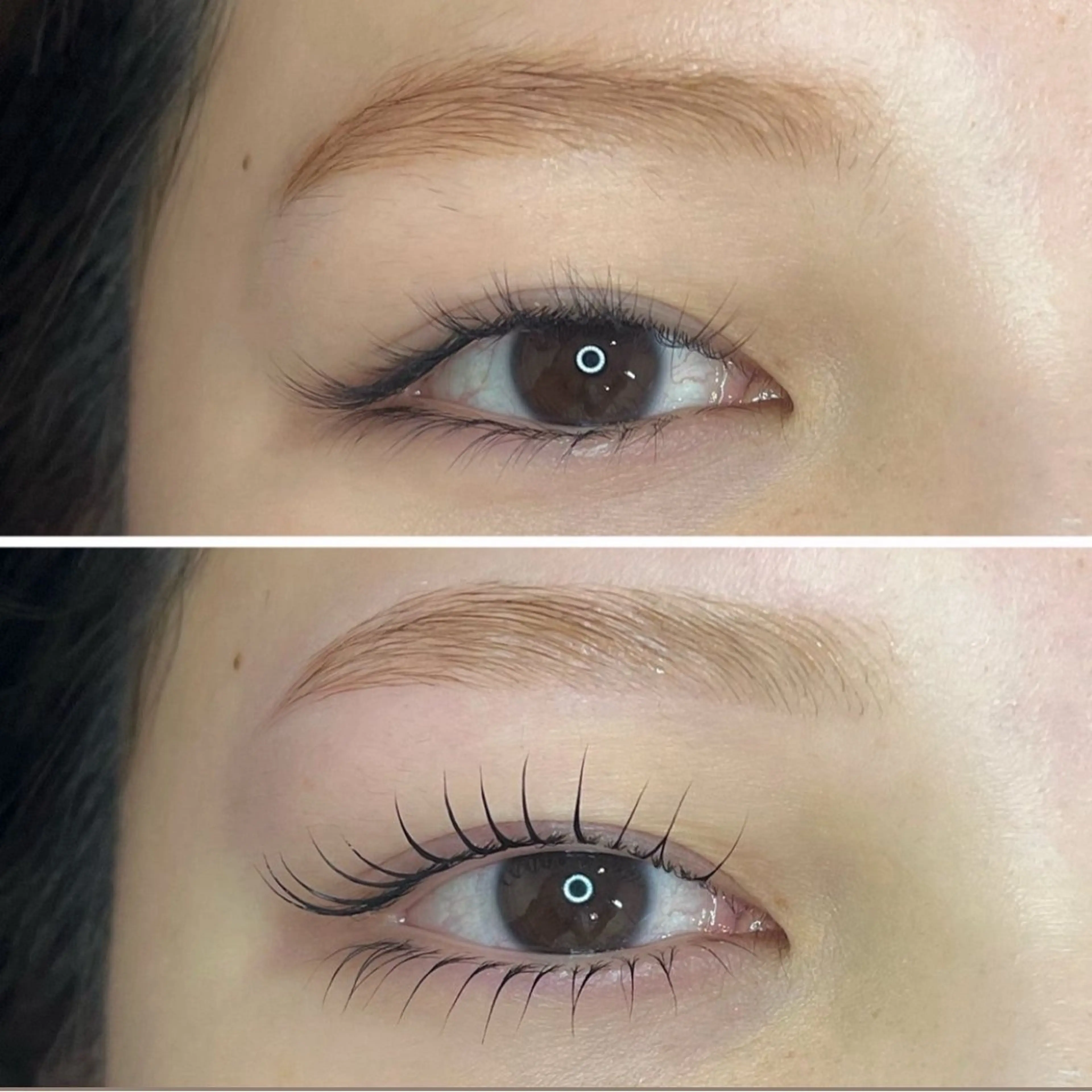 💫🌲眉毛WAX&上下まつ毛パーマorパリジェンヌ🎄💫12/3 11:00 13:00の写真