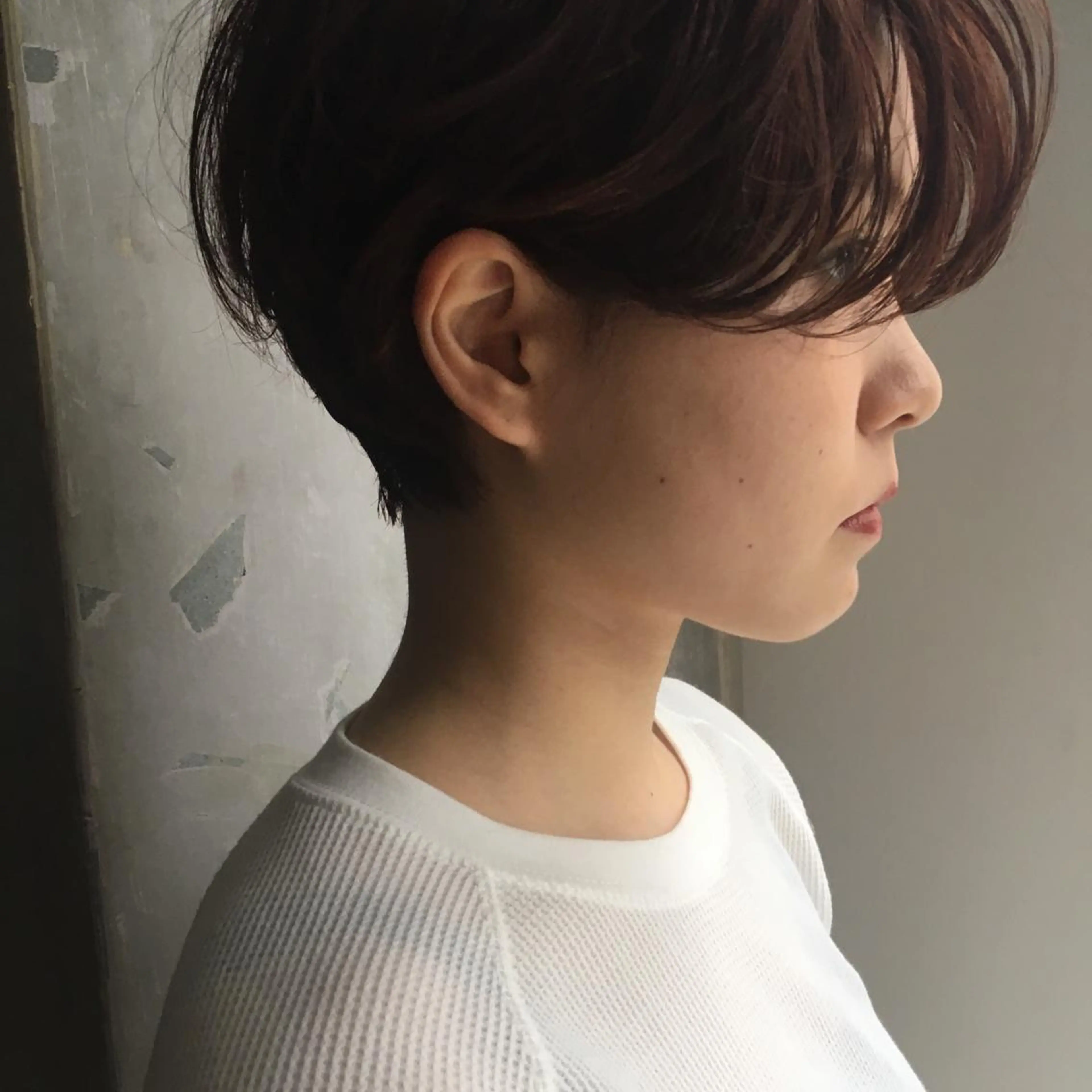 ショート カラー イヌイ フウコのヘアスタイル