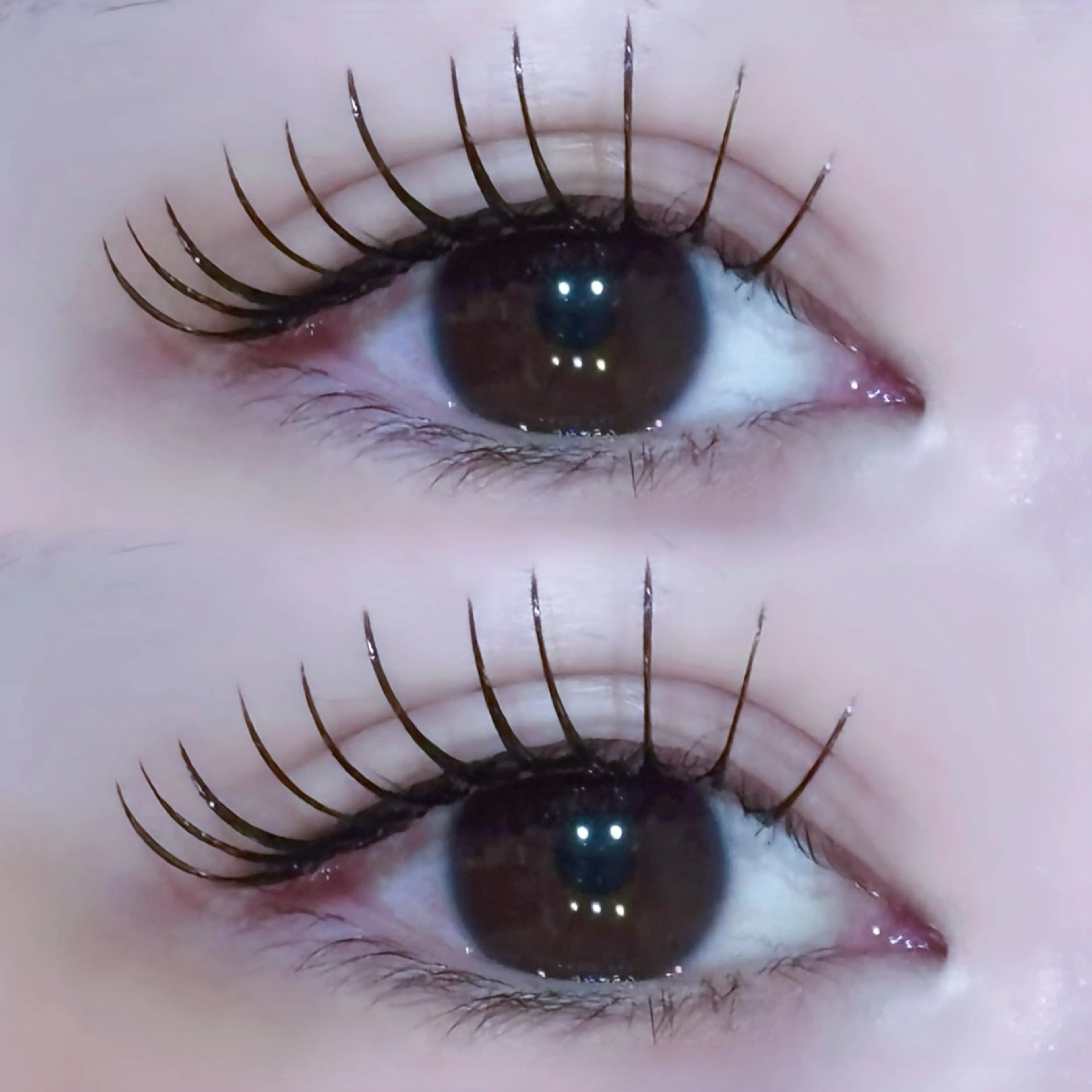 マツエク・マツパ EYELA🤍 蓜島のマツエク・マツパデザイン