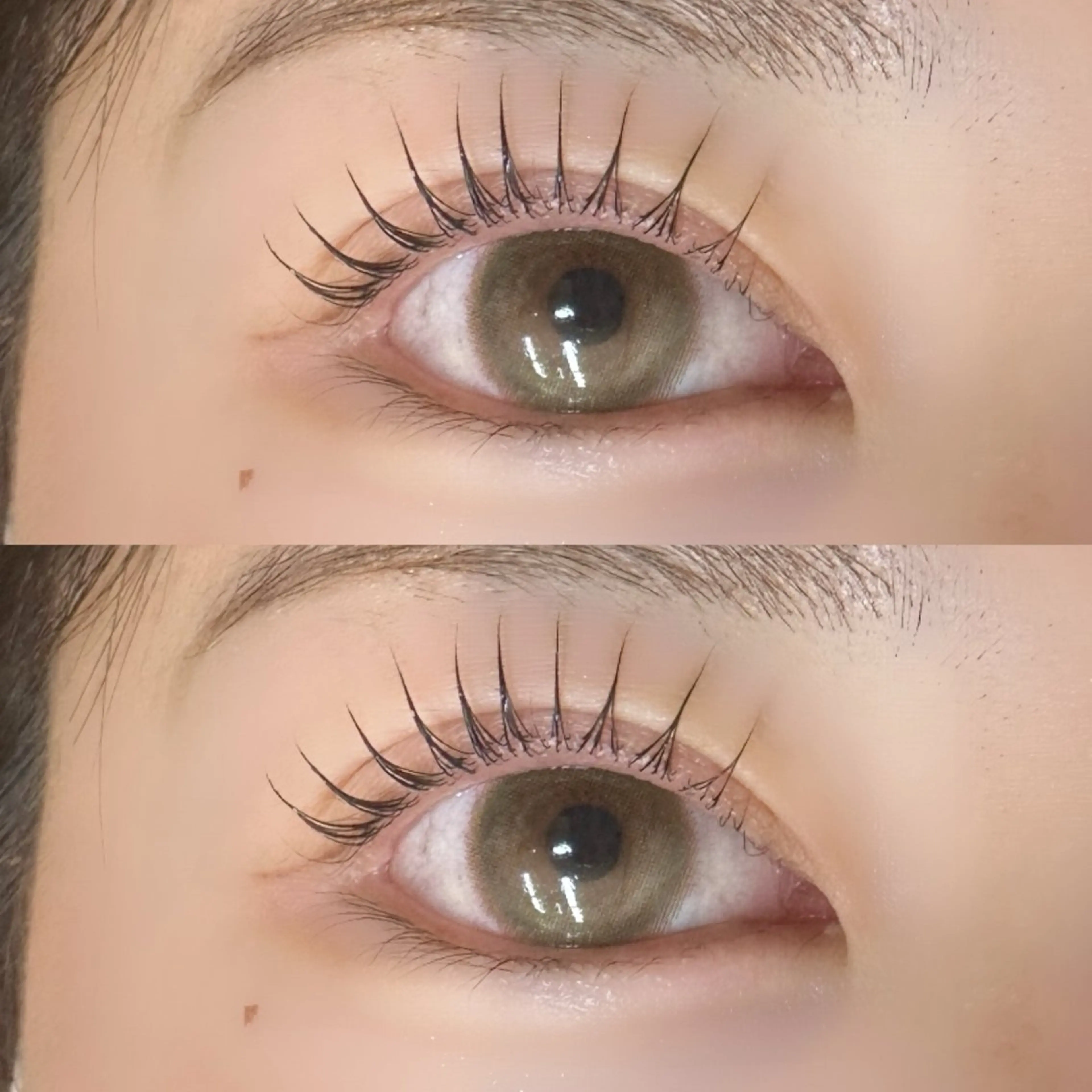 🎀アンドヘルシー150本まで🎀の写真