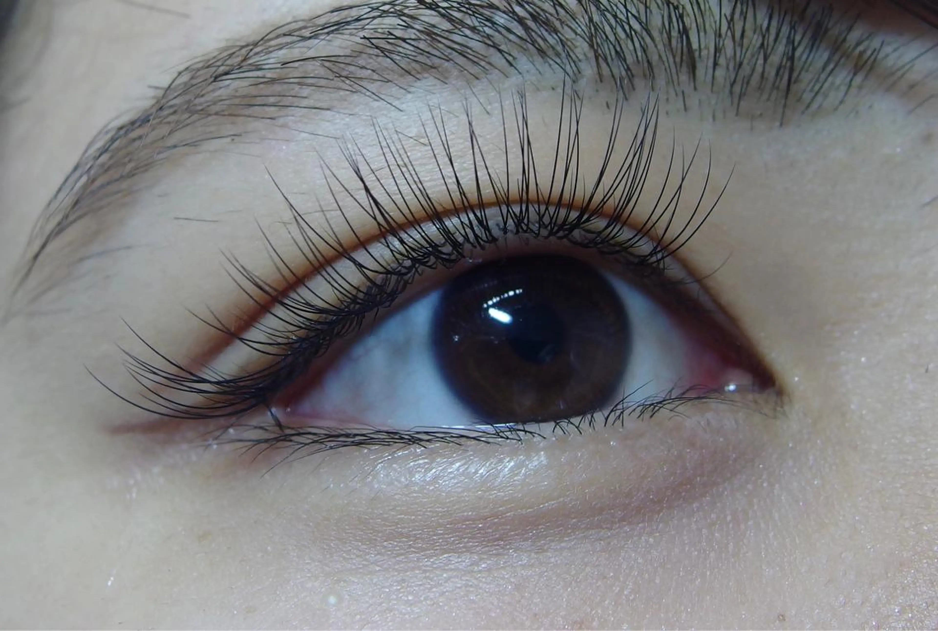 マツエク・マツパ miel eyelashsalon所属・miel eyelashのマツエク・マツパデザイン