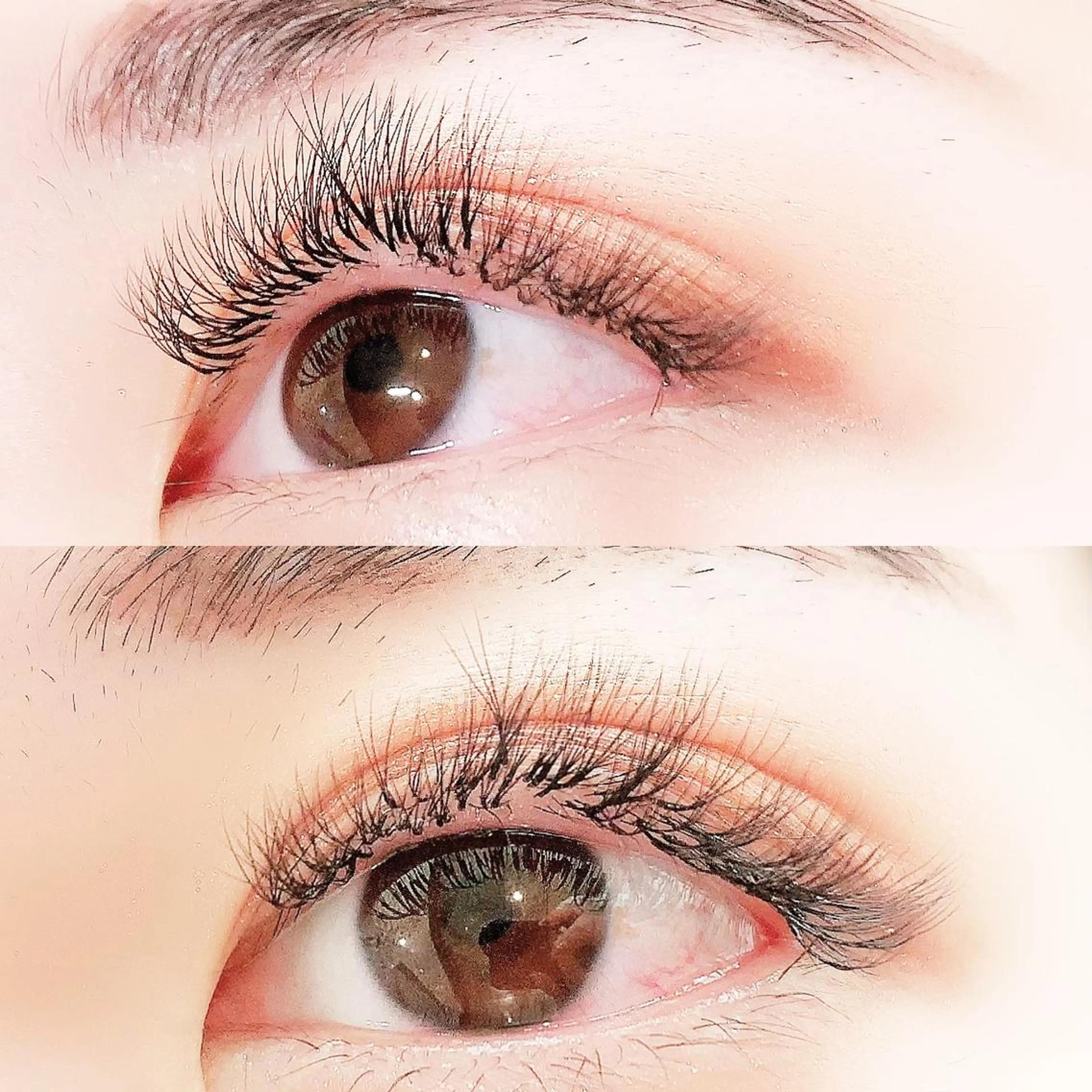 マツエク・マツパ Cカール ボリュームラッシュ Lanhr所属・【Lanhr】 🕊aya🕊のマツエク・マツパデザイン