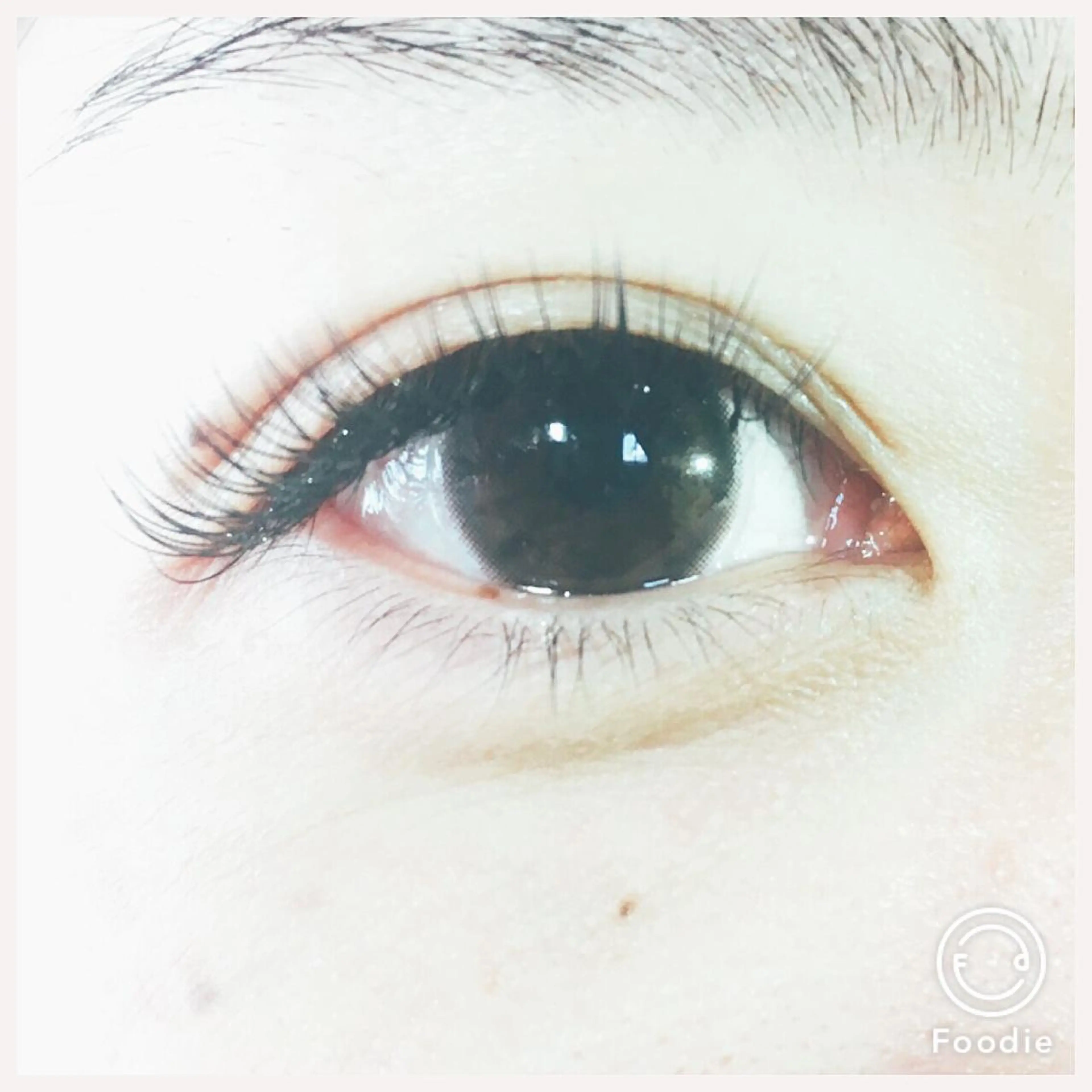 マツエク・マツパ 狩野 美佳のマツエク・マツパデザイン