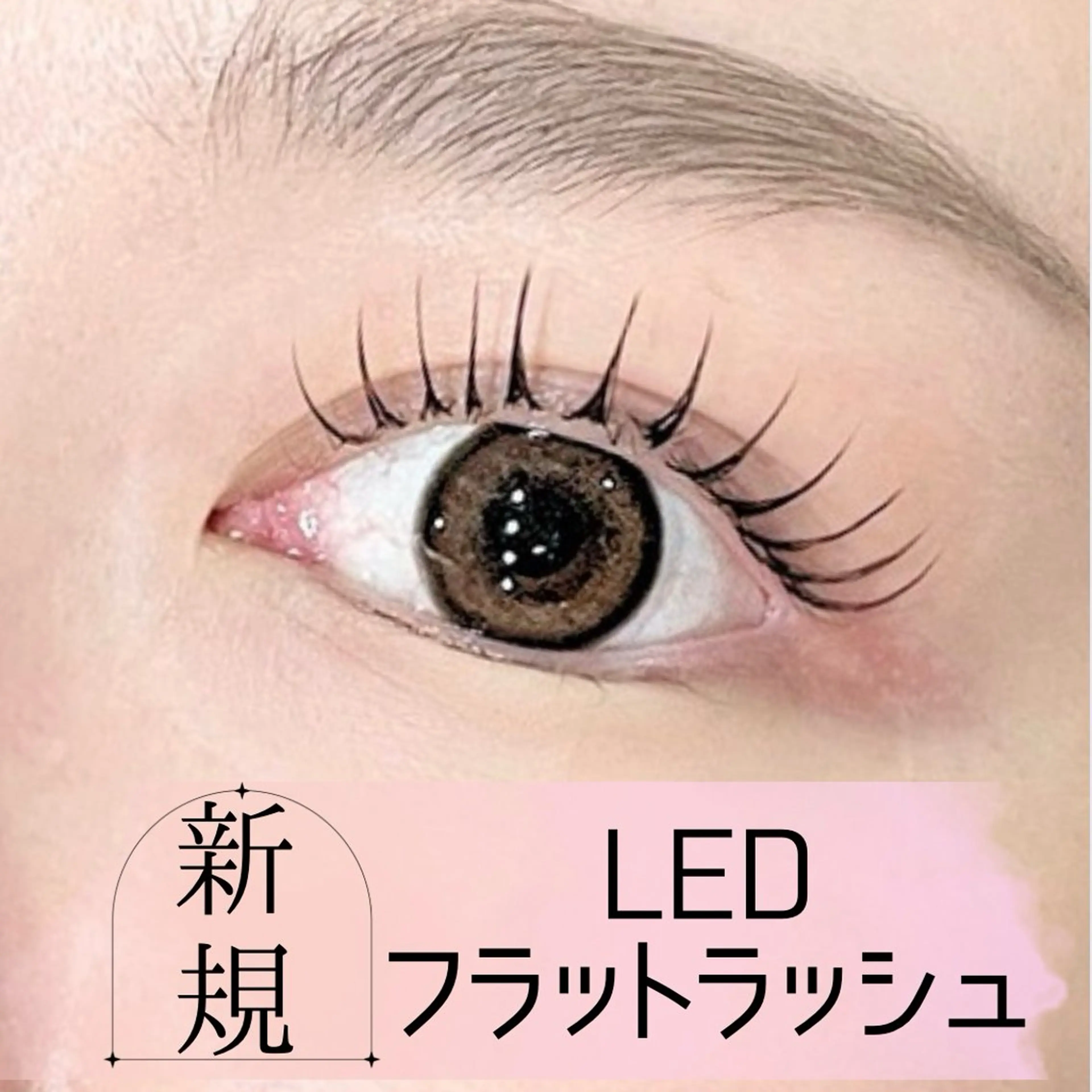 ＼ご新規様限定価格♪／【束感】LEDフラットラッシュ100本　¥6000の写真