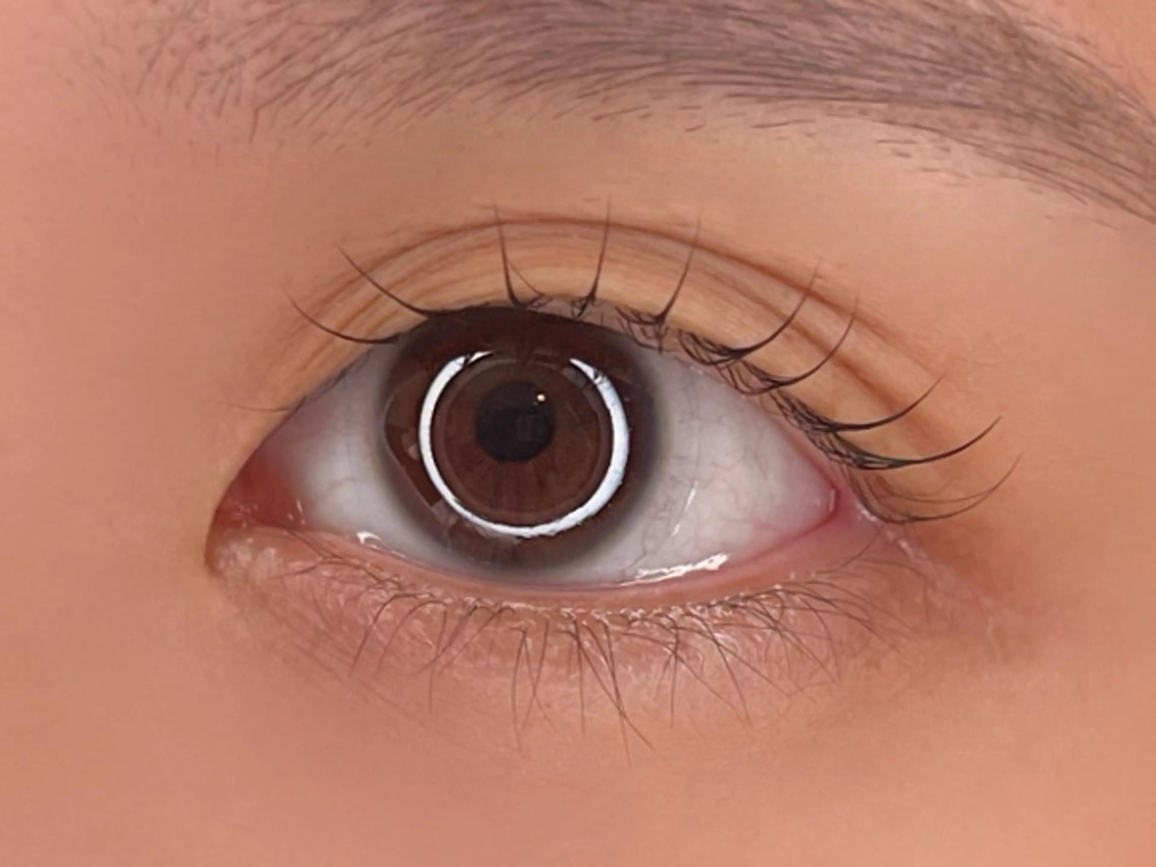 マツエク・マツパ Fameu+ HIMEKAのマツエク・マツパデザイン