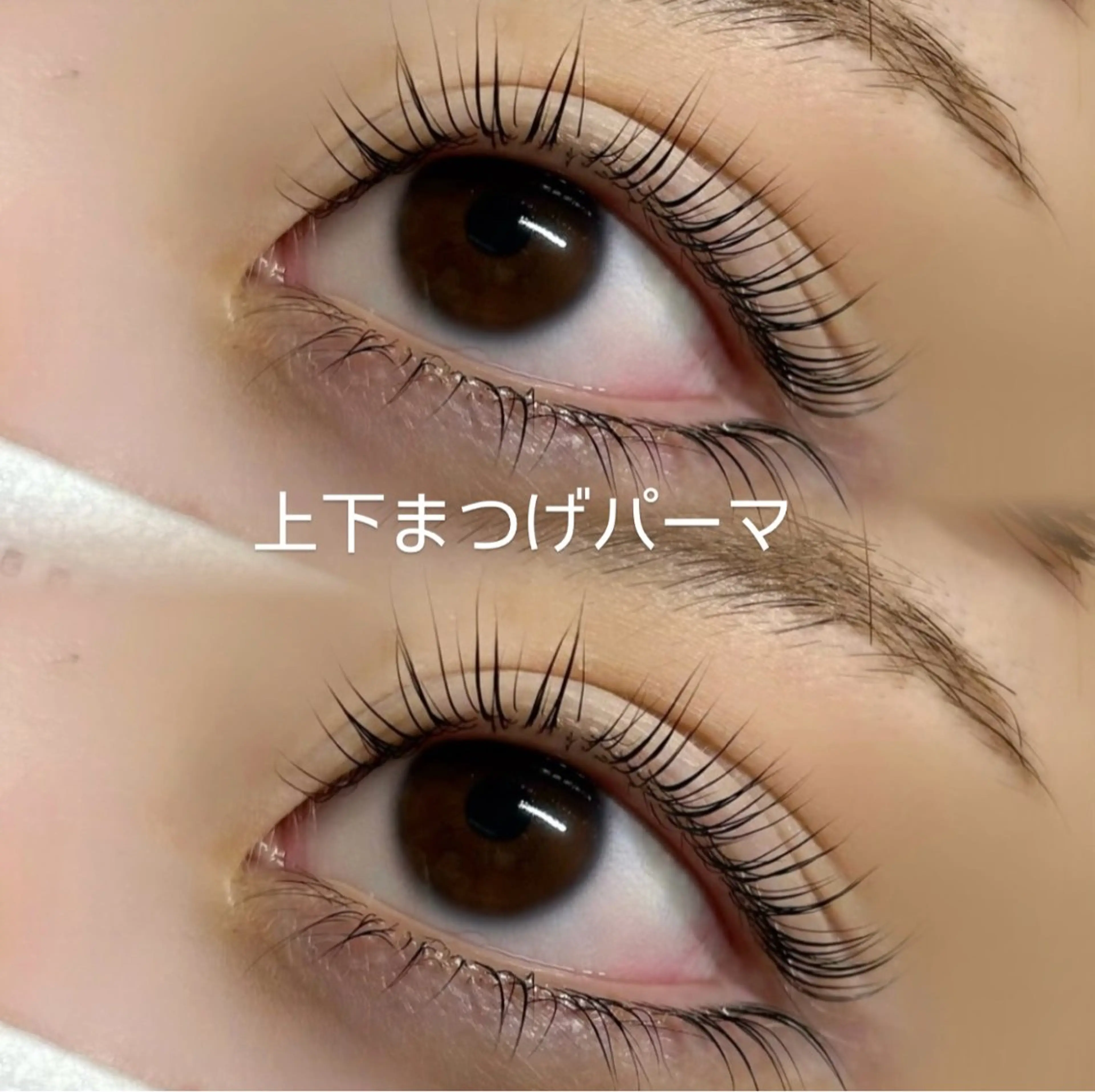 マツエク・マツパ マツパ AKl ꕤ︎︎·のマツエク・マツパデザイン