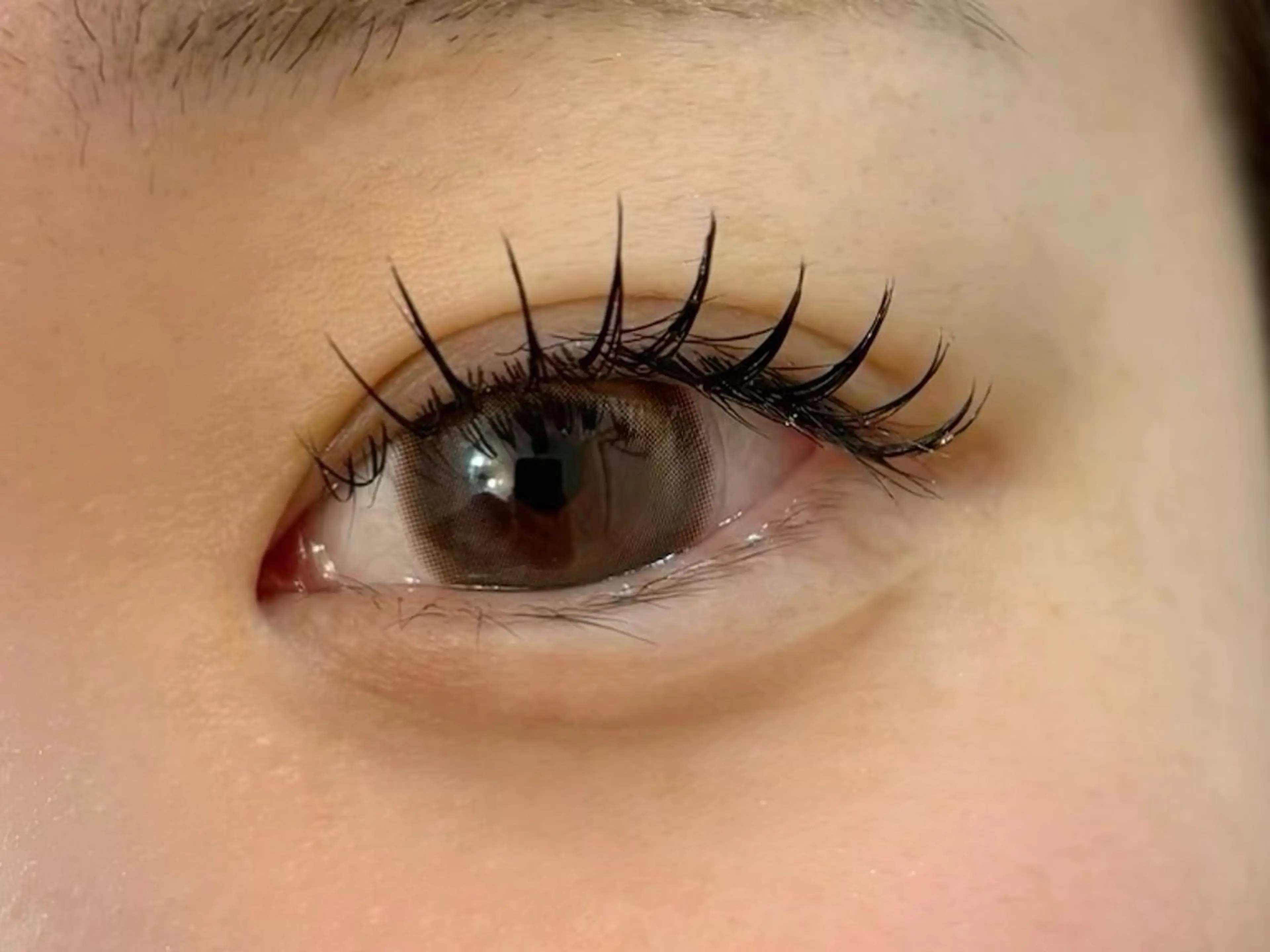 【マツエク】フラットラッシュ100本 LED追加変更可能の写真