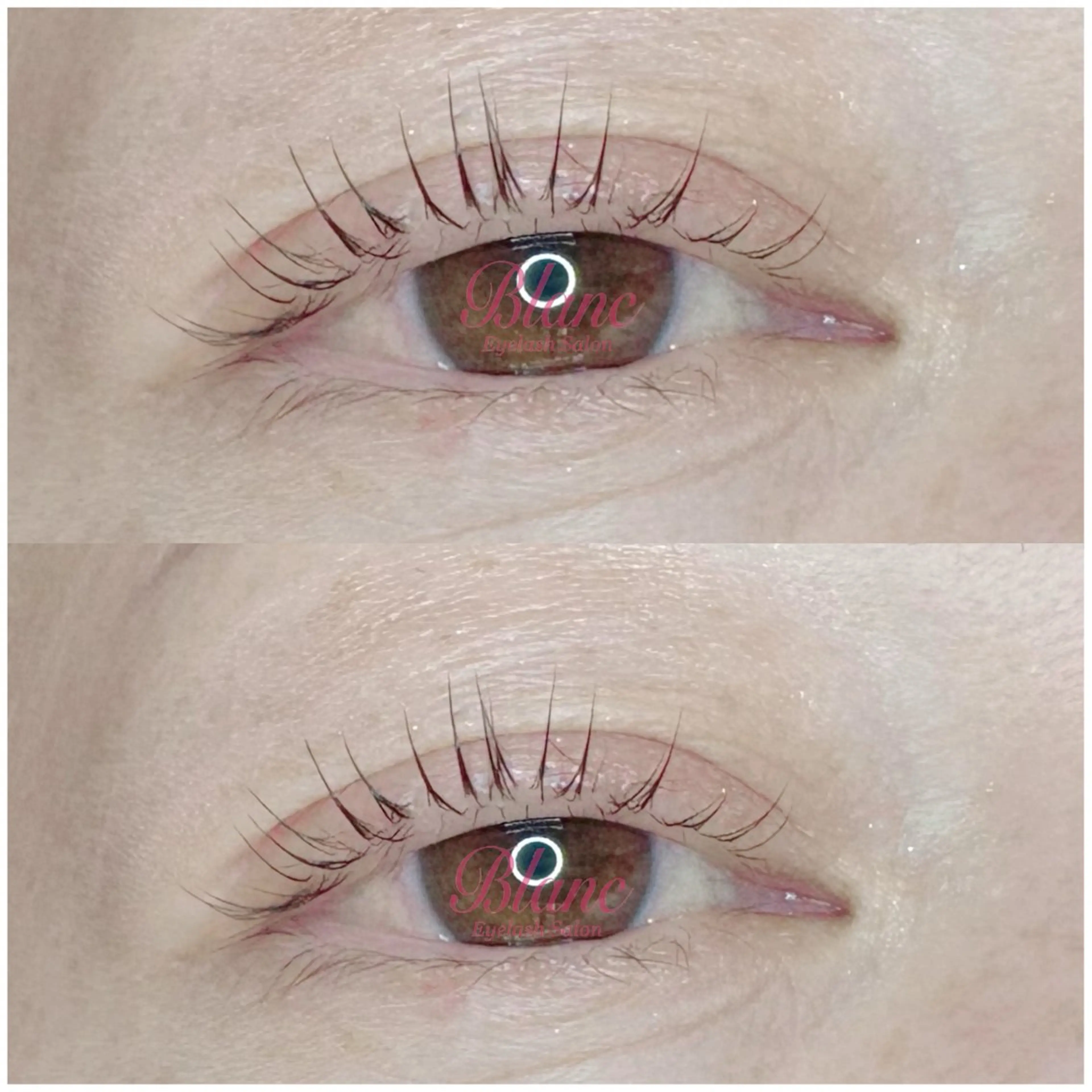 マツエク・マツパ Blanc 莉桜のマツエク・マツパデザイン